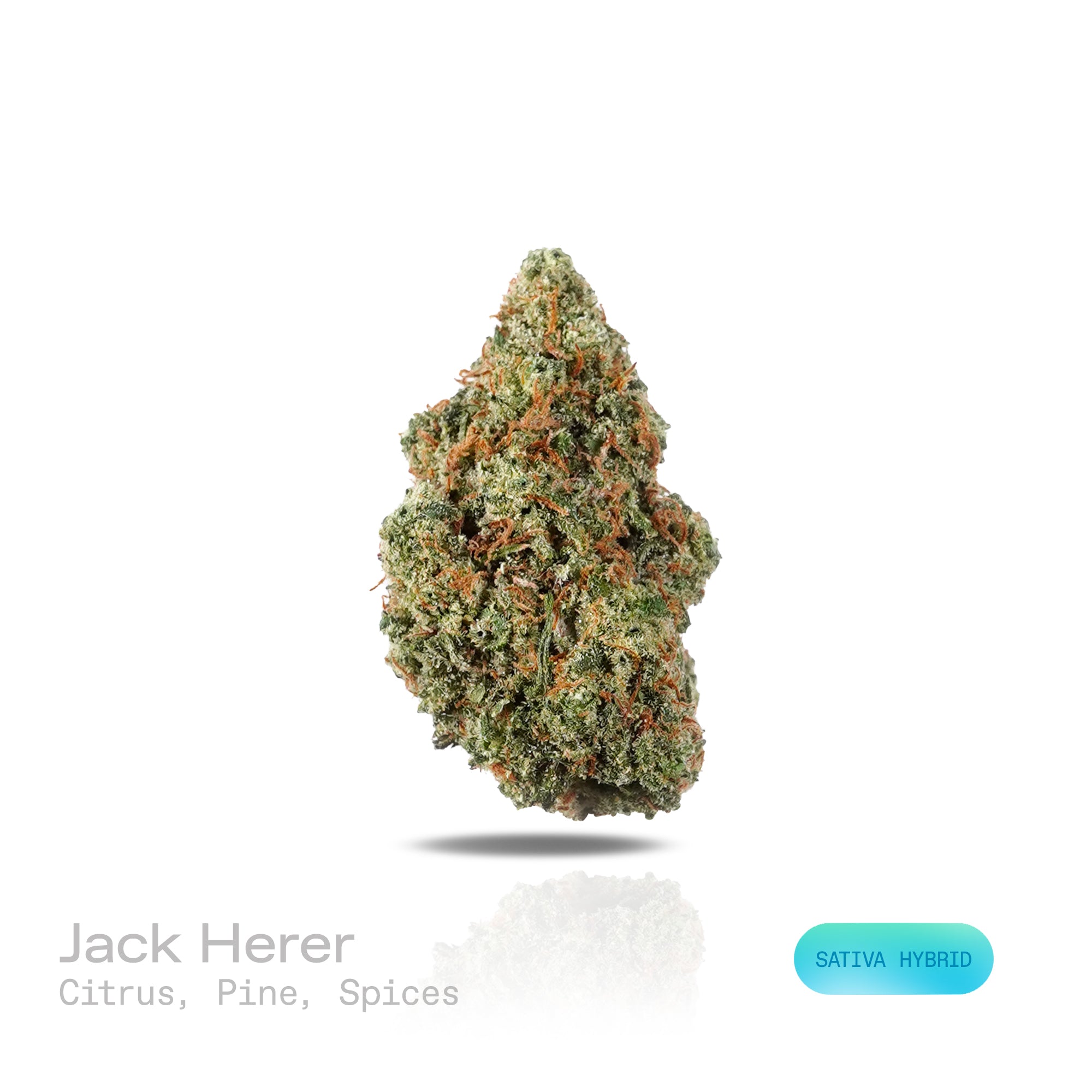 Jack Herer THCa Flower (Exotic) (Sativa Hybrid) | PUFFY