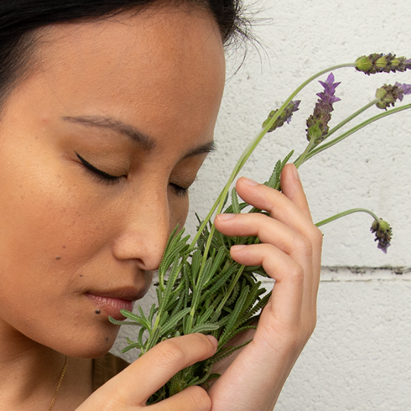 JULY-20-Terps-banner-600.png?v=1697800347