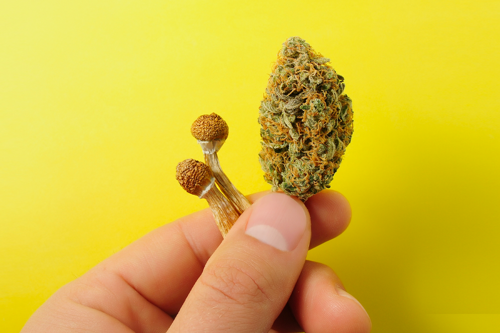 thcoexperience-thumb.png?v=1697722237