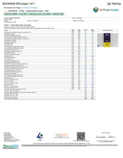 PUFFY 2G - Watermelon Hash (Super Blends HHC) - Indica