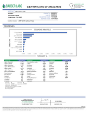Puffy Strawberry Cheese 65A is a balanced hybrid THCa live resin infused with a unique blend of sweet strawberry and creamy cheesy notes, delivering a rich, indulgent flavor that stands out with every hit. Consumers often report an initial wave of mild cerebral stimulation that lifts the mood with gentle euphoria, followed by a deeply calming and soothing relaxation of both body and mind.
