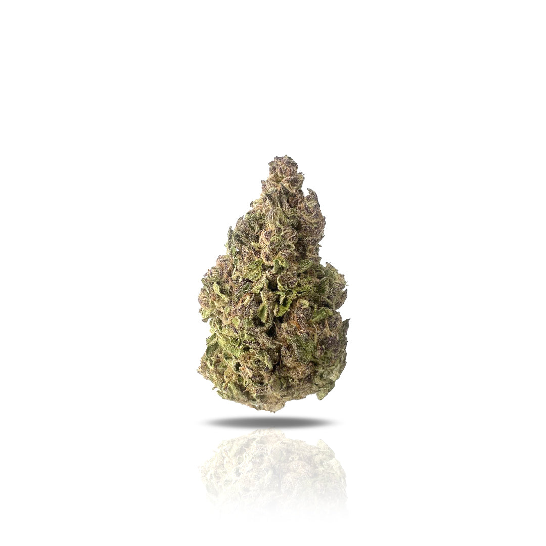 Puffy THC-A Flower Gush Mints Gush Mints is a heavy indica-dominant hybrid produced by crossing Kush Mints and a combination of F1 Durban and Gushers. Its unique blend of terpenes gives this strain a sweet, gassy aroma with notes of pine and mint. Gush Mints starts users off with a euphoric, cerebral high and gradually fades to a mellow, body-centric buzz, making it a great choice for unwinding after a long day. This flower features dark green and purple shades and trichome-covered leaves.