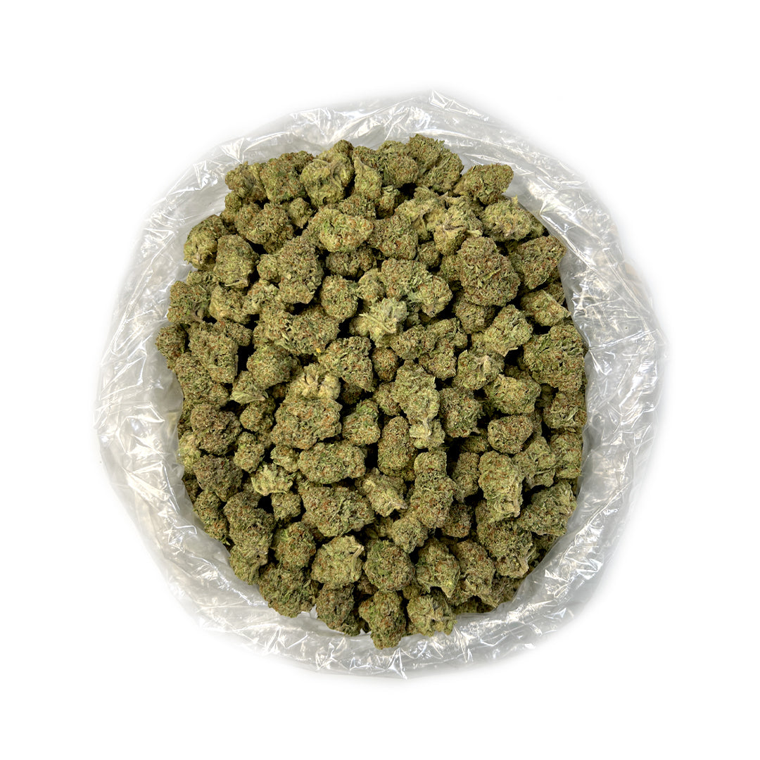Puffy THC-A Flower Lemon Popper Lemon Popper, or Lemon Poppers, is known for its robust and invigorating effects. This strain is a hybrid cross between the legendary Lemon Tree and Gelato 41, resulting in a vibrant and energetic high. It offers a balanced experience that combines mental stimulation with a sense of physical relaxation. Lemon Popper is often favored for its ability to enhance mood and focus, making it suitable for those seeking a lively and engaging experience.