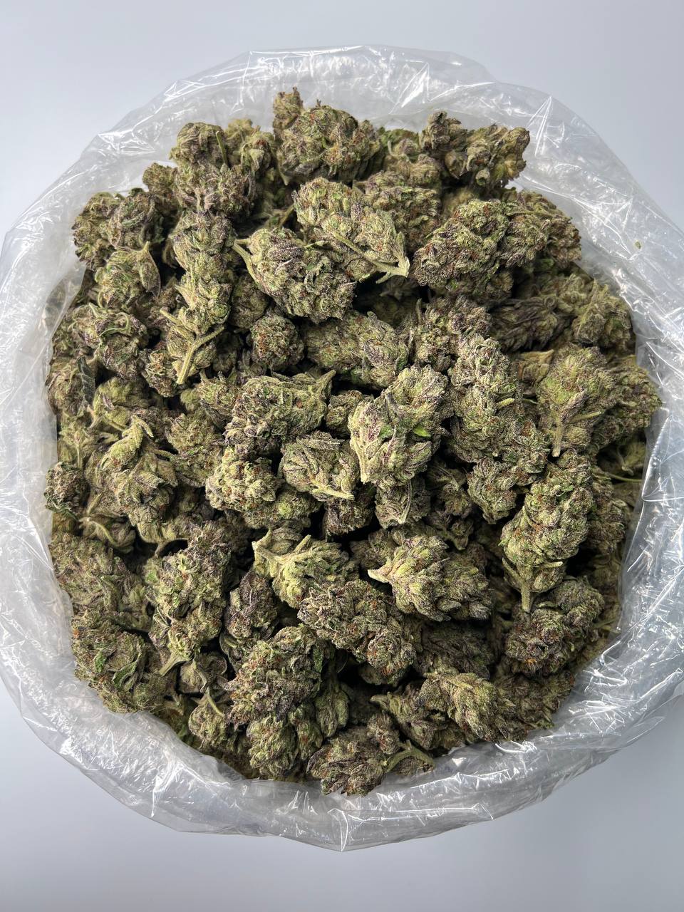 Papaya Runtz THCa Flower (Premium Indoor) (Hybrid)