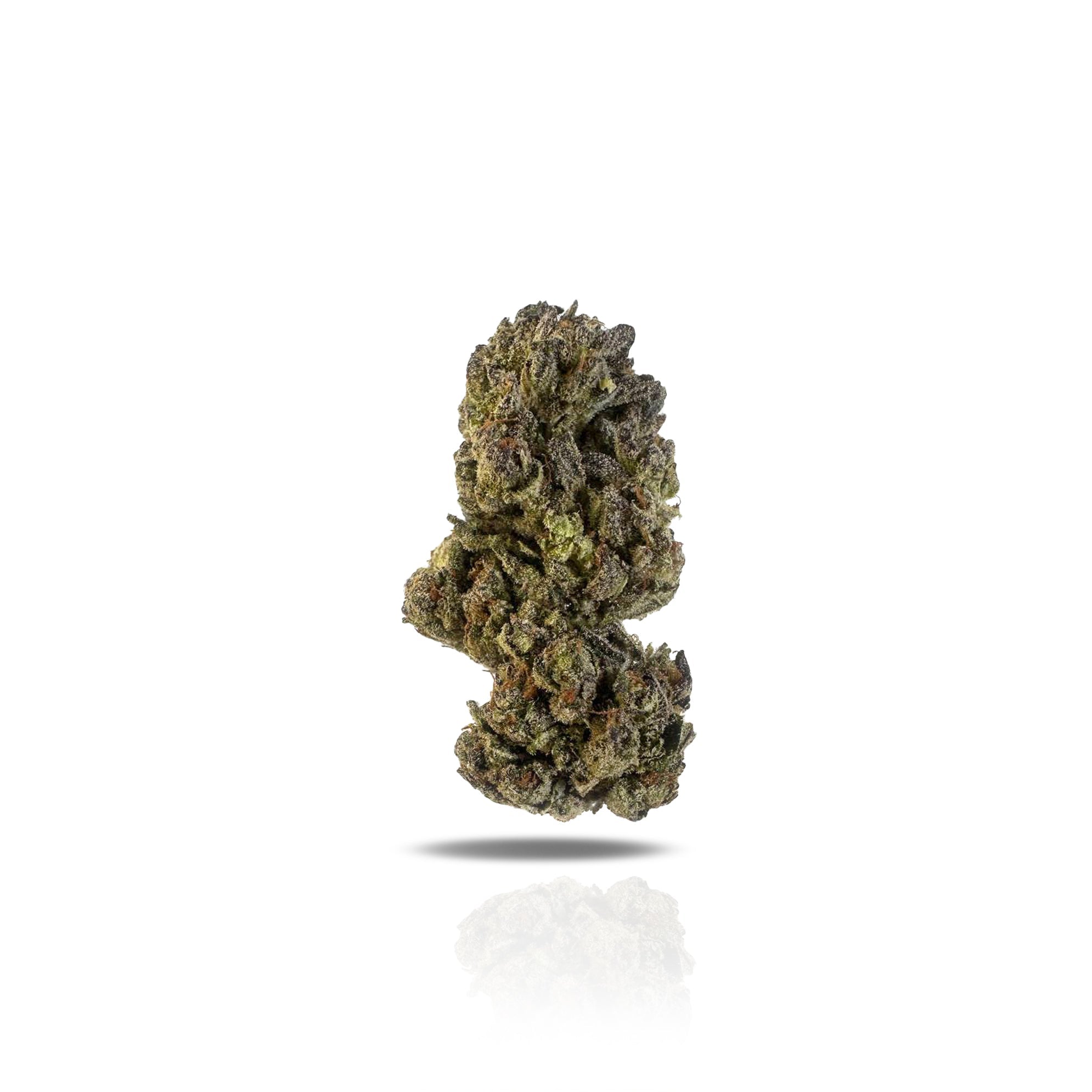 PUFFY Acai Berry Gelato is a vibrant sativa-dominant hybrid THCa strain, crafted from the flavorful fusion of Thin Mint Cookies and Sunset Sherbet. This stunning strain boasts deep purple hues and a thick, glistening layer of trichomes, making it as visually striking as it is potent. Its aroma profile is rich and earthy, blending musky, mossy, and root-like undertones with a bold gasoline kick, creating an intriguing and unforgettable scent. Consumers say it delivers a happy, talkative, and uplifting high, 