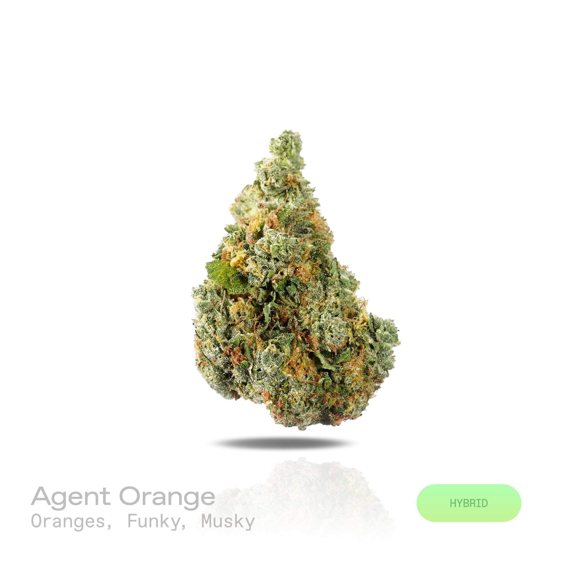 PUFFY Agent Orange is a balanced hybrid THCa strain crafted from the powerful genetic pairing of Orange Velvet and Jack the Ripper. The aroma is an elevated blend of ripe orange and distinctive funky notes, rounded out by a refined musky finish. Visually, dense rich green buds with purple hues and fiery orange pistils are coated in sticky trichomes. Consumers often report an elevated sense of euphoria and happiness, accompanied by an uplifting mood and a refined sense of mental focus. 