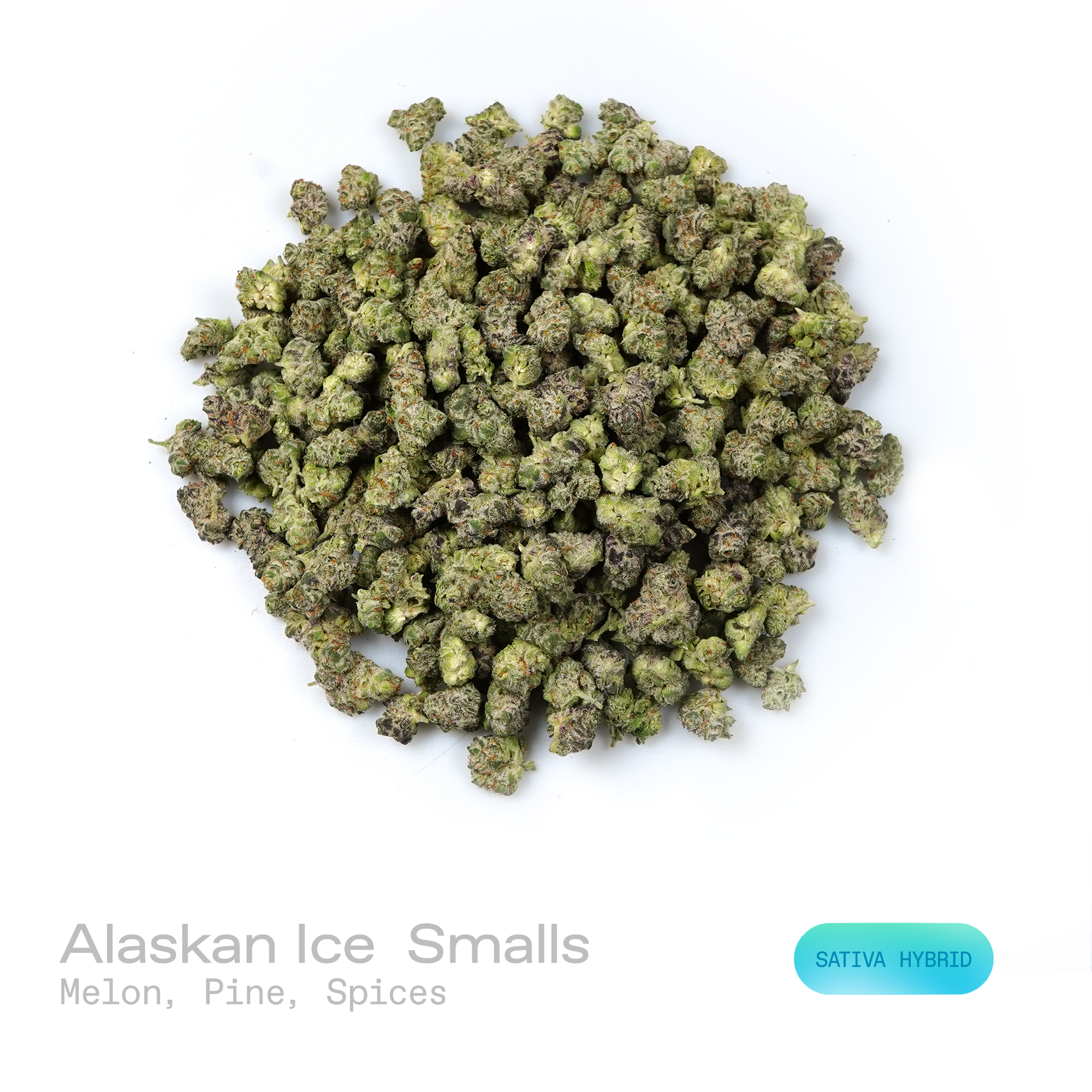 PUFFY Alaskan Ice (smalls) is a sativa-dominant hybrid THCa strain born from the legendary pairing of White Widow and Haze. The aroma features a refreshing blend of sweet melon, earthy pine, and subtle spicy notes. Visually, dense forest green buds with purple hues and fiery orange pistils are coated in sticky trichomes. Consumers often report experiencing a euphoric and uplifted state accompanied by enhanced creativity, energetic motivation, and a focused, clear-minded experience. 