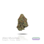 PUFFY Alien Munchies is an indica-dominant hybrid THCa strain derived from the potent genetic collaboration of MAC and Purple Punch 2.0. The aroma is intensely pungent and layered, blending juicy fruity sweetness with a bold gassy funk that lingers in the air and deepens with every inhale. Visually, dense deep forest green buds with purple hues and fiery orange pistils are coated in sticky trichomes. Consumers often report a euphoric, uplifting onset that gradually transitions into a deeply relaxed, calming