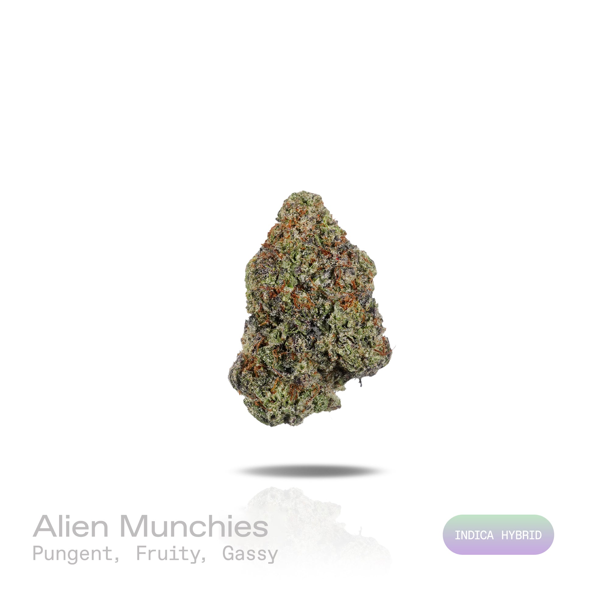 PUFFY Alien Munchies is an indica-dominant hybrid THCa strain derived from the potent genetic collaboration of MAC and Purple Punch 2.0. The aroma is intensely pungent and layered, blending juicy fruity sweetness with a bold gassy funk that lingers in the air and deepens with every inhale. Visually, dense deep forest green buds with purple hues and fiery orange pistils are coated in sticky trichomes. Consumers often report a euphoric, uplifting onset that gradually transitions into a deeply relaxed, calming