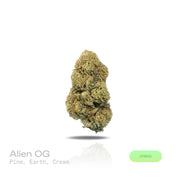 PUFFY Alien OG is a balanced hybrid THCa strain, spawned from the renowned pairing of Tahoe OG and Alien Kush. The aroma presents a well-balanced blend of pine, earthy undertones, and smooth cream. Visually, dense green buds with purple hues and fiery orange pistils are coated in sticky trichomes. Consumers often report a fast-onset cerebral high that brings euphoria, uplifted mood, creativity, and focus, followed by soothing body relaxation. 