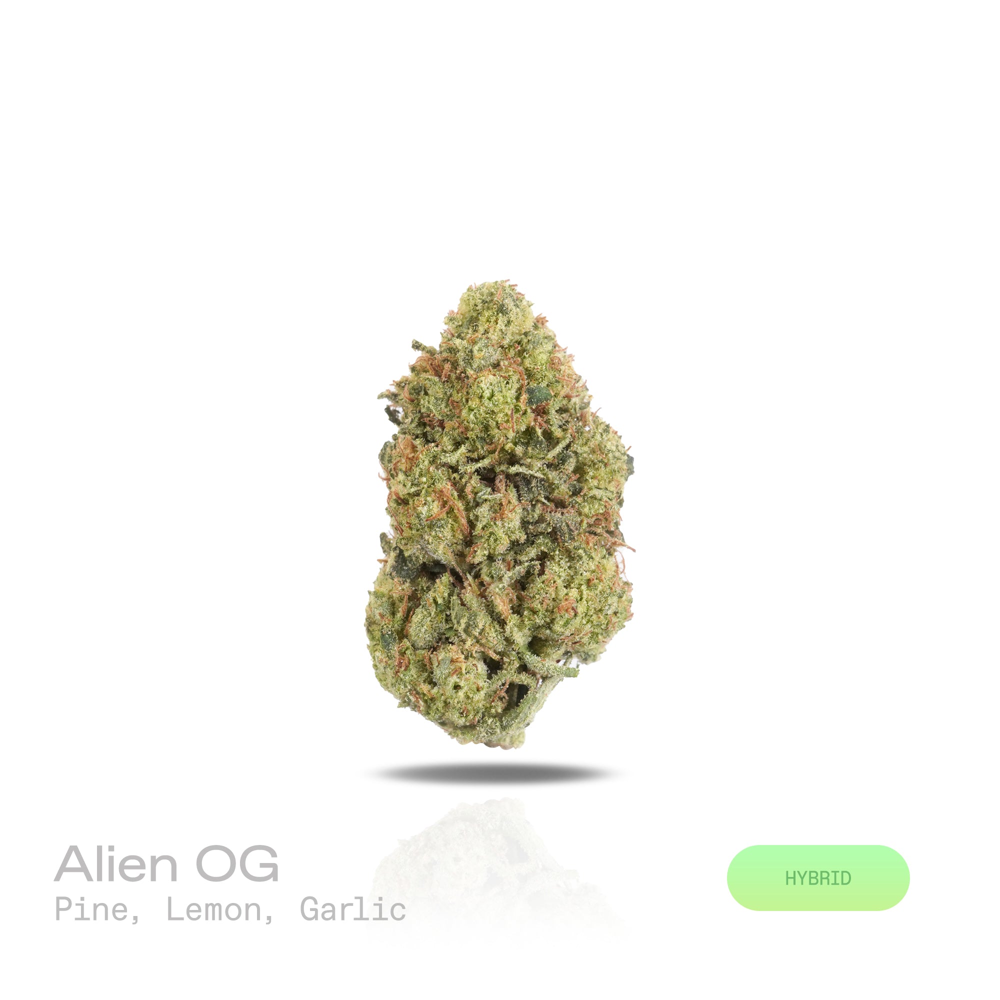 PUFFY Alien OG is a balanced hybrid THCa strain, spawned from the renowned pairing of Tahoe OG and Alien Kush. The aroma is a sharp and invigorating blend of pine and zesty lemon, underlined by a subtle hint of pungent garlic. Visually, dense green buds with purple hues and fiery orange pistils are coated in sticky trichomes. Consumers often report a fast-onset cerebral high that brings euphoria, uplifted mood, creativity, and focus, followed by soothing body relaxation.