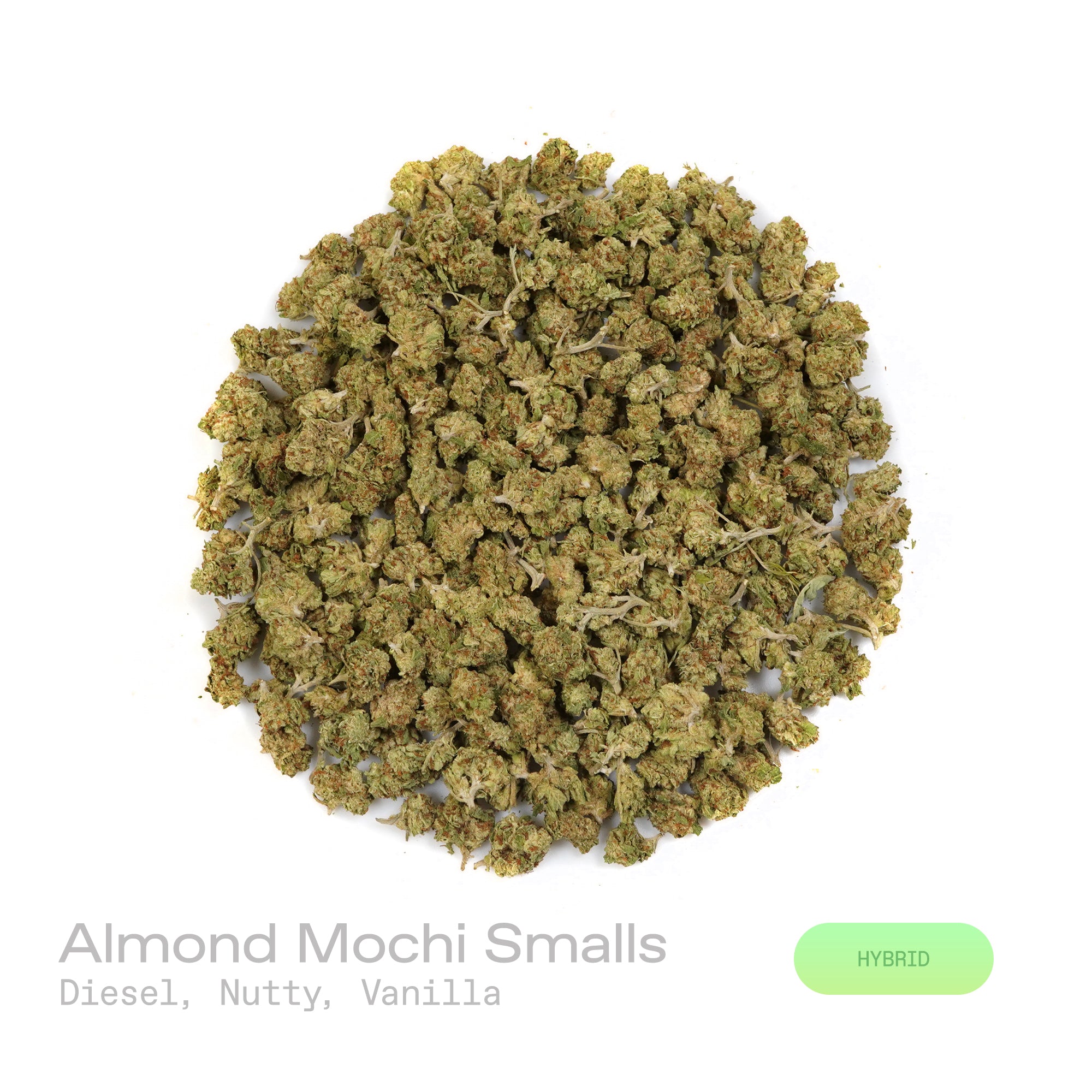 PUFFY Almond Mochi (smalls) is a balanced hybrid THCa strain, crafted from the flavorful cross of Mochi and Biscotti Dough. The aroma is a bold and intriguing blend of diesel, nutty undertones, and a subtle hint of vanilla, creating a rich and inviting scent profile. Visually, dense deep green buds with hints of purple are threaded with fiery orange pistils and coated in a sparkling layer of sticky trichomes. Consumers often report a balanced high combining happy, creative, and euphoric effects with calming