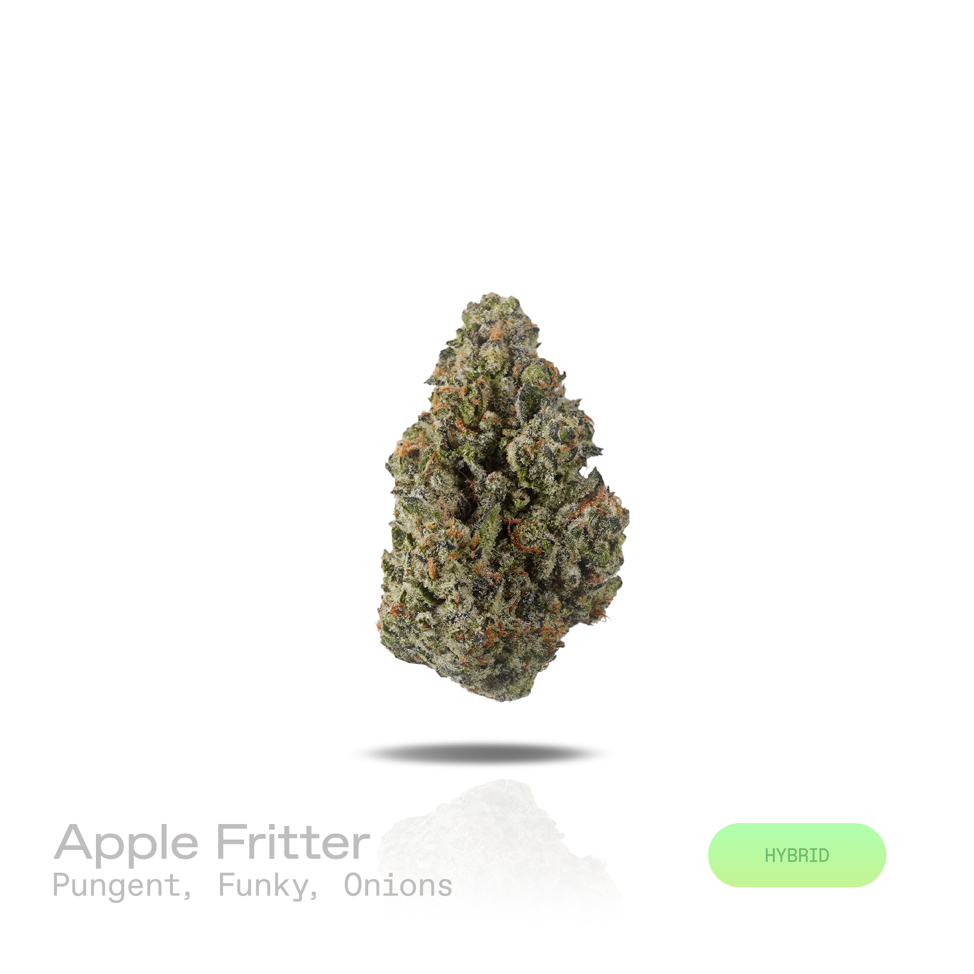 PUFFY Apple Fritter is a balanced hybrid THCa strain, born from the flavorful cross of Sour Apple and Animal Cookies. The aroma is intensely pungent and funky, layered with sharp onion-like sharpness that gives it a bold, savory profile. Visually striking, the dense buds are covered with frosty trichomes, showcasing deep green to purple hues with vibrant orange pistils. Consumers often report a blend of euphoria and relaxation, accompanied by a tingling body buzz, lighthearted giggles, and an overall uplift