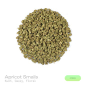 PUFFY Apricot (smalls) is a balanced hybrid THCa strain bred from the flavorful union of Purple Punch and Orange Apricot. The aroma is a rich blend of classic kush notes layered with pungent gassy undertones and a subtle floral sweetness. Visually, dense deep green buds with purple hues and fiery orange pistils are coated in sticky trichomes. Consumers often report an energetic, social onset with euphoric uplift and lighthearted laughter, gradually settling into a relaxed body feel with a lightly creative, 