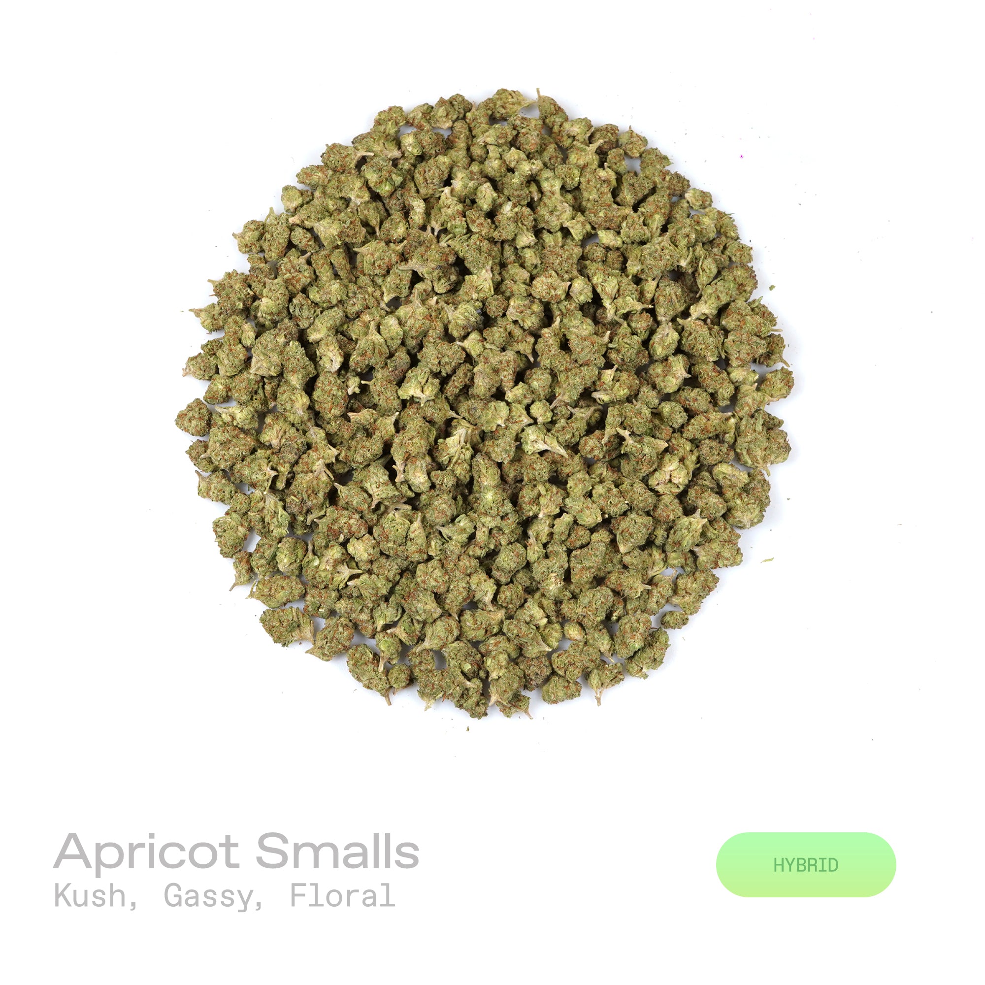 PUFFY Apricot (smalls) is a balanced hybrid THCa strain bred from the flavorful union of Purple Punch and Orange Apricot. The aroma is a rich blend of classic kush notes layered with pungent gassy undertones and a subtle floral sweetness. Visually, dense deep green buds with purple hues and fiery orange pistils are coated in sticky trichomes. Consumers often report an energetic, social onset with euphoric uplift and lighthearted laughter, gradually settling into a relaxed body feel with a lightly creative, 