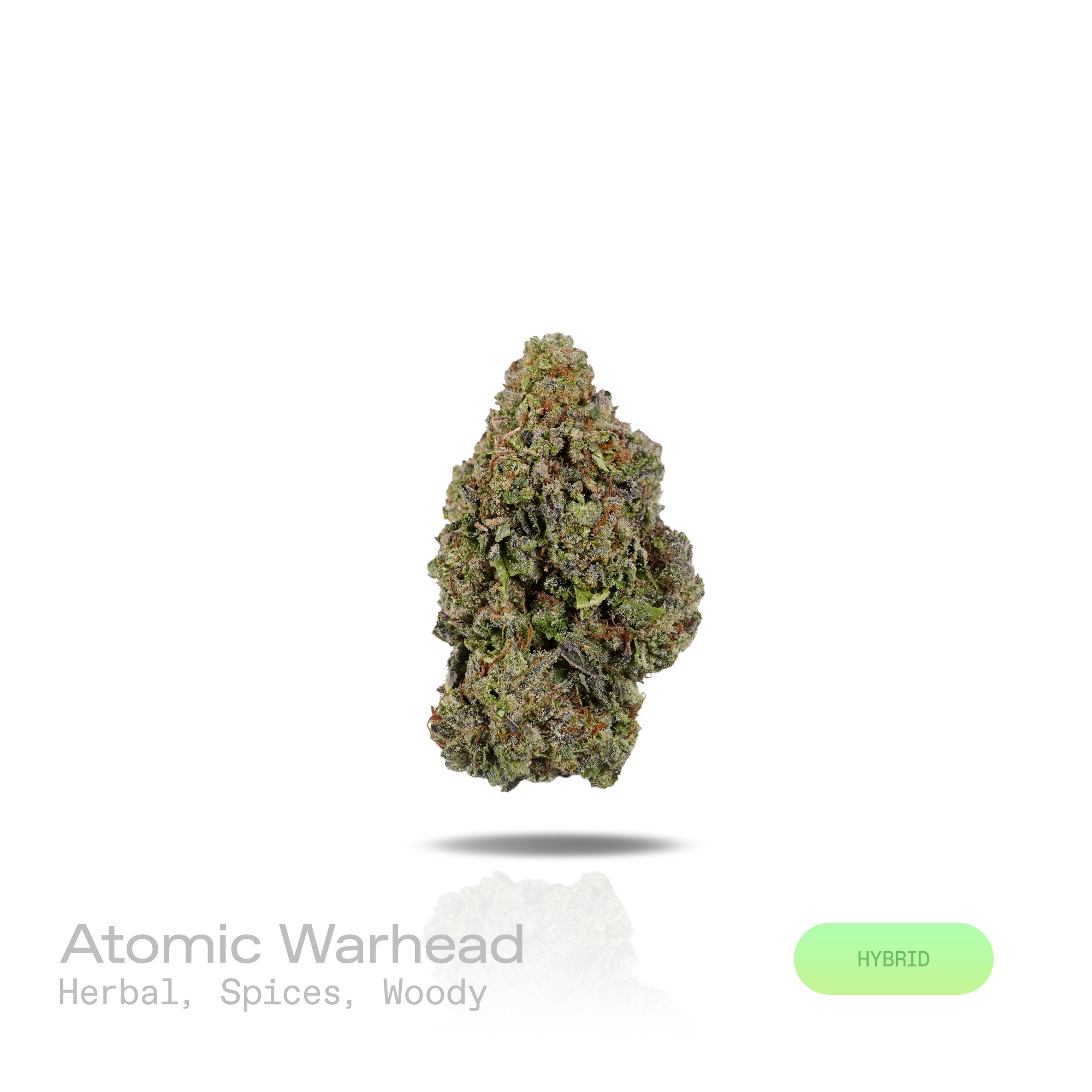 PUFFY Atomic Warhead is a balanced hybrid THCa strain crafted from the exceptional genetics of  Kaboom and Sour Pez. The aroma unfolds with a rich blend of fresh herbal notes, warm spices, and earthy woody undertones. Visually, dense forest green buds with purple hues and fiery orange pistils are coated in sticky trichomes. Consumers often report a euphoric and invigorating cerebral buzz that inspires creativity and sharp focus, gradually complemented by a soothing wave of body relaxation that promotes over