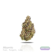 PUFFY Atomic is an indica-dominant hybrid THCa strain created by crossing Chemdawg and OG Kush, then further refined with THC Bomb. The aroma bursts with a sharp, fuel-like intensity, layered with pungent notes and a zesty hint of fresh lime. Visually, the buds are dense and dark forest-green, accented by vibrant orange pistils and a thick coating of glistening trichomes. Consumers often describe an initial wave of uplifting, euphoric cerebral effects that quickly elevate mood and enhance focus, gradually t