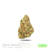 PUFFY Bacio Gelato is a balanced hybrid THCa strain born from the legendary cross of Sunset Sherbert and Thin Mint Girl Scout Cookies. The aroma is a complex blend of sharp pine, rich vanilla, and subtle gassy undertones, creating a bold and intriguing scent that is both earthy and slightly sweet. Visually, buds are dense and chunky, with pine green and purple tones, fiery orange pistils, and a frosty trichome coating. Consumers describe it as gentle yet uplifting, providing clear-headed calm and a subtle m