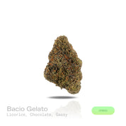 PUFFY Bacio Gelato is a premium balanced hybrid THCa strain born from the legendary cross of Sunset Sherbert and Thin Mint Girl Scout Cookies. The aroma is a rich and intriguing blend of sweet licorice, decadent chocolate, and pungent gassy undertones. Visually, buds are dense and chunky, with forest green and purple tones, fiery orange pistils, and a frosty trichome coating. Consumers describe it as gentle yet uplifting, providing clear-headed calm and a subtle mood boost that eases tension while keeping y