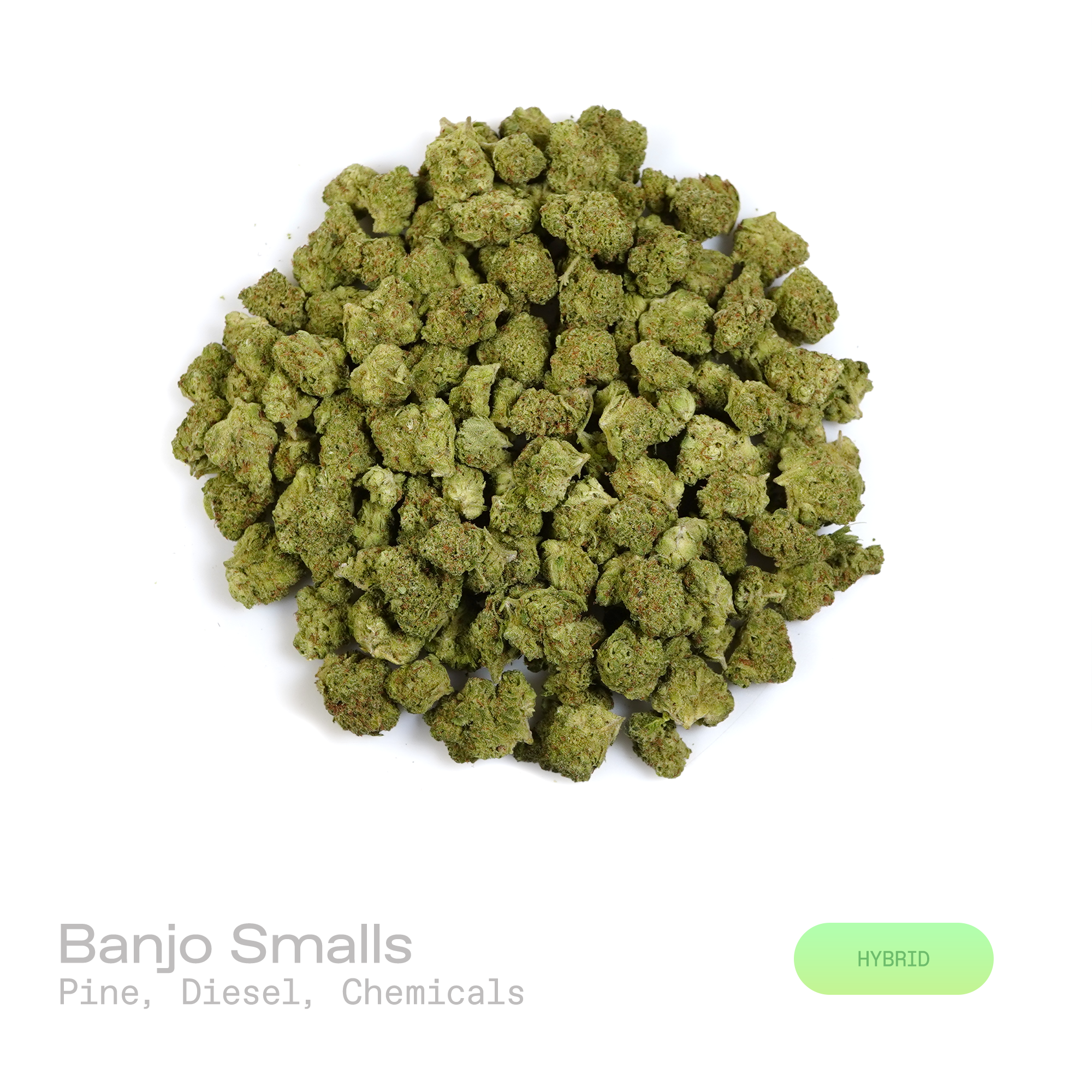 PUFFY Banjo (smalls) is a balanced hybrid THCa strain derived from the premium lineage of Boost and Tangelo. The aroma opens with sharp pine and pungent diesel notes, finishing with a bold, distinctive hint of chemicals. Visually, dense forest green buds with hints of purple are threaded with fiery orange pistils and coated in a sparkling layer of sticky trichomes. Consumers often report an uplifting euphoric mood lift accompanied by improved mental clarity and focus, along with a gentle full-body relaxatio