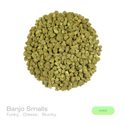 PUFFY Banjo (smalls) is a balanced hybrid THCa strain derived from the premium lineage of Boost and Tangelo. The aroma is a bold, pungent blend of funky, cheese-like sharpness layered with deep skunky undertones. Visually, dense forest green buds with hints of purple are threaded with fiery orange pistils and coated in a sparkling layer of sticky trichomes. Consumers often report an uplifting euphoric mood lift accompanied by improved mental clarity and focus, along with a gentle full-body relaxation that h