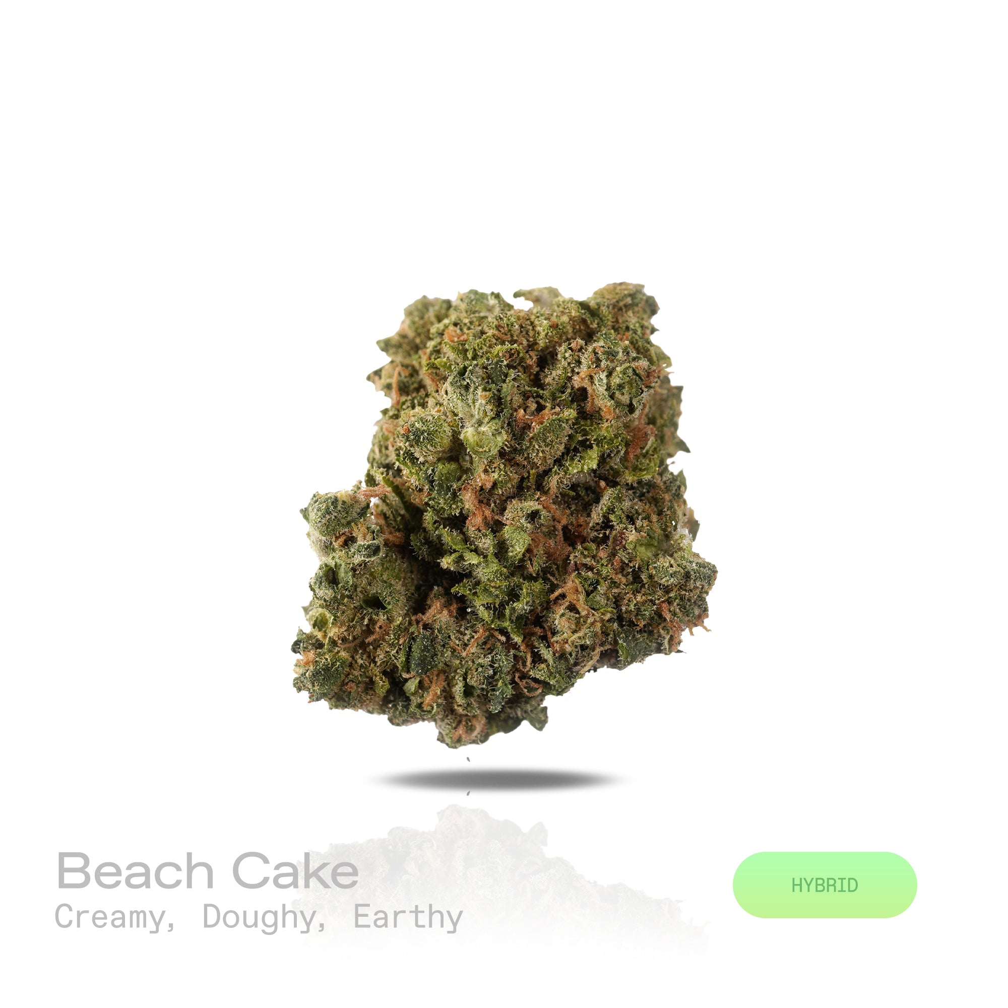 PUFFY Beach Cake is a balanced hybrid THCa strain, born from the flavorful cross of Triangle Kush × Florida Cake. The aroma unfolds with creamy, doughy richness, balanced by a grounding earthy finish.  Visually, the buds are dense and deep green, accented by bright orange pistils and a frosty trichome coating. Consumers often describe an energizing and euphoric experience that sparks sociability, heightens mood, and leaves a tingling, uplifting sensation.
