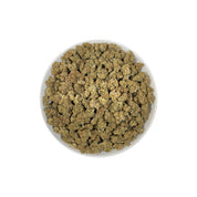 PUFFY Big Purps is an indica-dominant hybrid THCa strain, Its lineage is most often traced back to the esteemed Kashmiri genetics. The aroma is a complex blend of musky undertones, herbal freshness, and subtle chemical notes, creating a distinctive and intriguing scent profile. Visually, dense deep green buds with purple hues and fiery orange pistils are coated in sticky trichomes. Consumers often report a deep sense of relaxation and body ease, an uplifted mood or gentle cerebral onset, and increased appet