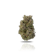 PUFFY Biscotti THCa is a potent indica-dominant hybrid strain reportedly made by crossing Gelato 25 with Sour Florida OG. This strain produces a cerebral high that leave consumers feeling relaxed, creative, and buzzy from head-to-toe. In terms of flavor, Biscotti tastes like sweet cookies with undertones of diesel.