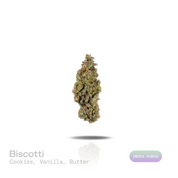 Biscotti THCa Flower (Indoor) (Indica Hybrid)