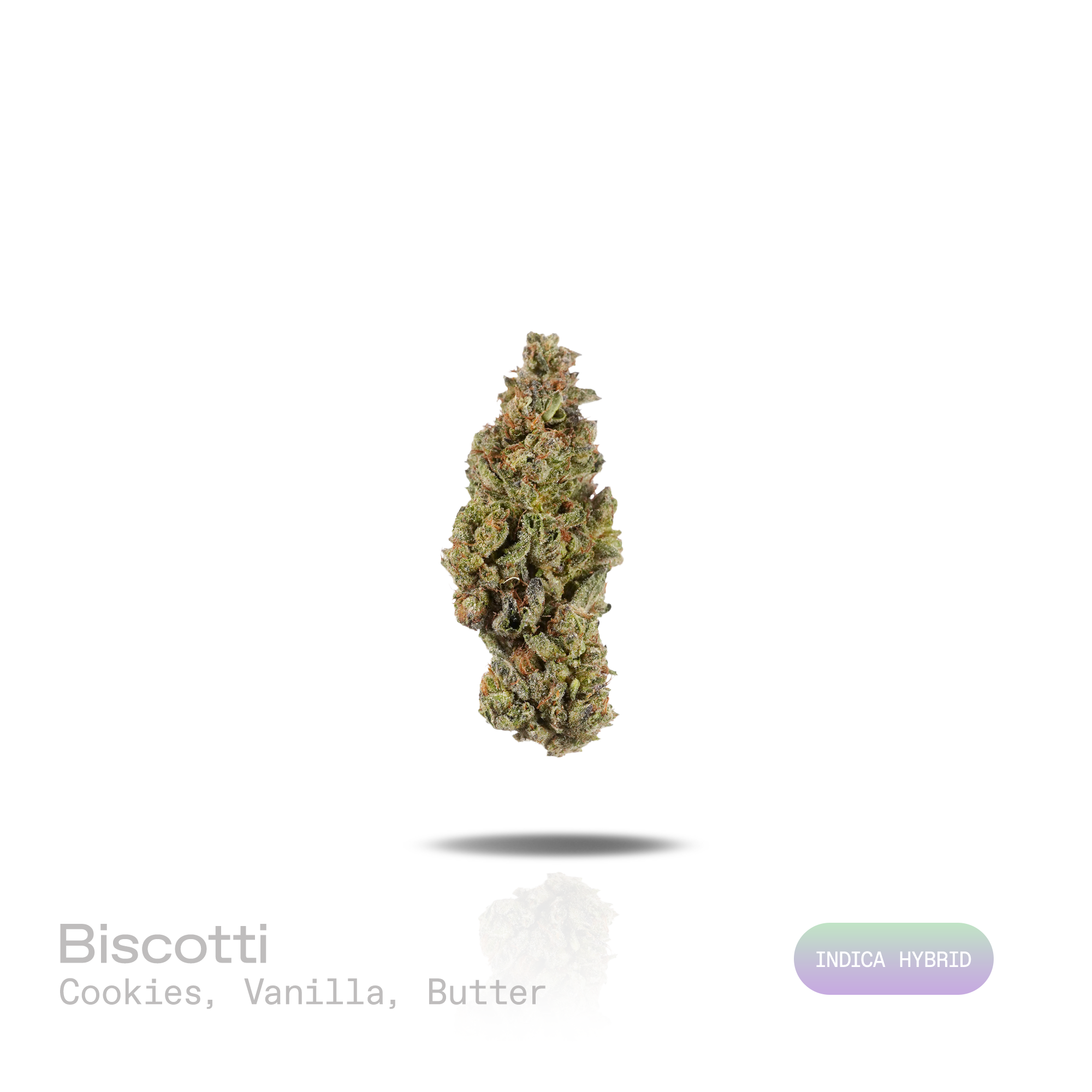 PUFFY Biscotti is an indica-dominant hybrid THCa strain resulting from the strategic pairing of Gelato 25 and South Florida OG. The aroma is rich and inviting, blending sweet cookies and creamy vanilla with a smooth, buttery finish. Visually, dense forest green buds with purple hues and fiery orange pistils are coated in sticky trichomes. Consumers often report a balanced, euphoric high that begins with a gentle mental uplift, enhancing creativity and mood before gradually melting into a soothing, full-body