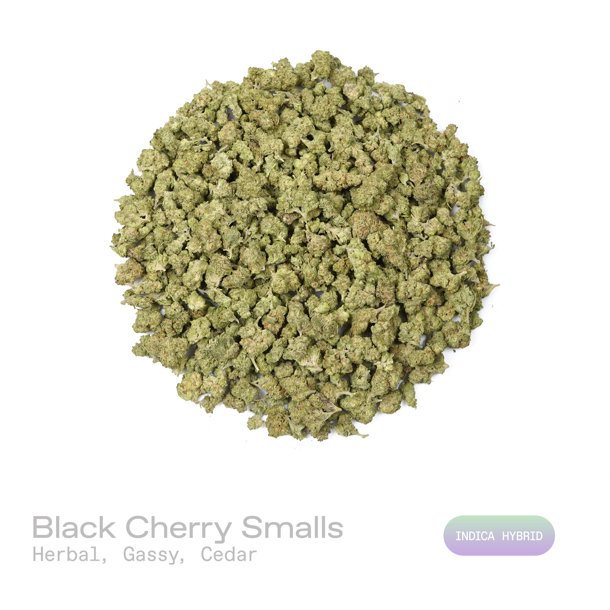 PUFFY Black Cherry (smalls) is an indica hybrid THCa strain derived from a renowned genetic cross of Ken’s OG and Granddaddy Purple. The aroma is a complex blend of herbal freshness layered with gassy, fuel-like sharpness and deep cedar undertones. Visually, dense forest green buds with purple hues and fiery orange pistils are coated in sticky trichomes. Consumers often report an uplifting euphoric experience accompanied by a deep sense of relaxation and a pleasantly positive, easygoing mood. 