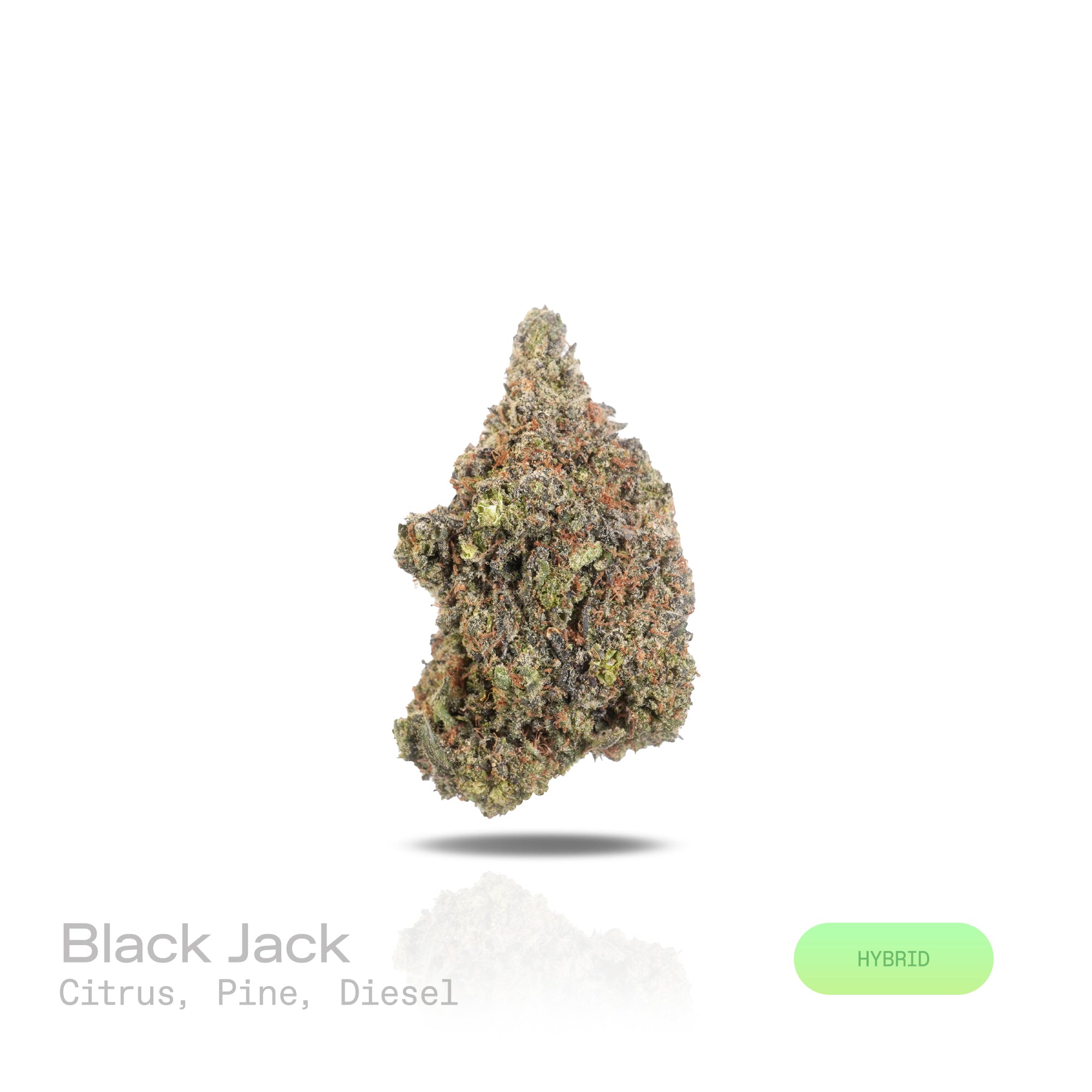PUFFY Black Jack is a balanced hybrid THCa strain, expertly bred from the dynamic pairing of Black Domina and Jack Herer. The aroma is a sharp blend of zesty citrus, fresh pine, and pungent diesel, delivering an energizing punch. Visually, dense forest-green buds with hints of purple are threaded with fiery orange pistils and coated in a sparkling layer of sticky trichomes. Consumers often report a blissful sense of euphoria paired with calm relaxation, heightened focus, and a refreshing mental clarity.