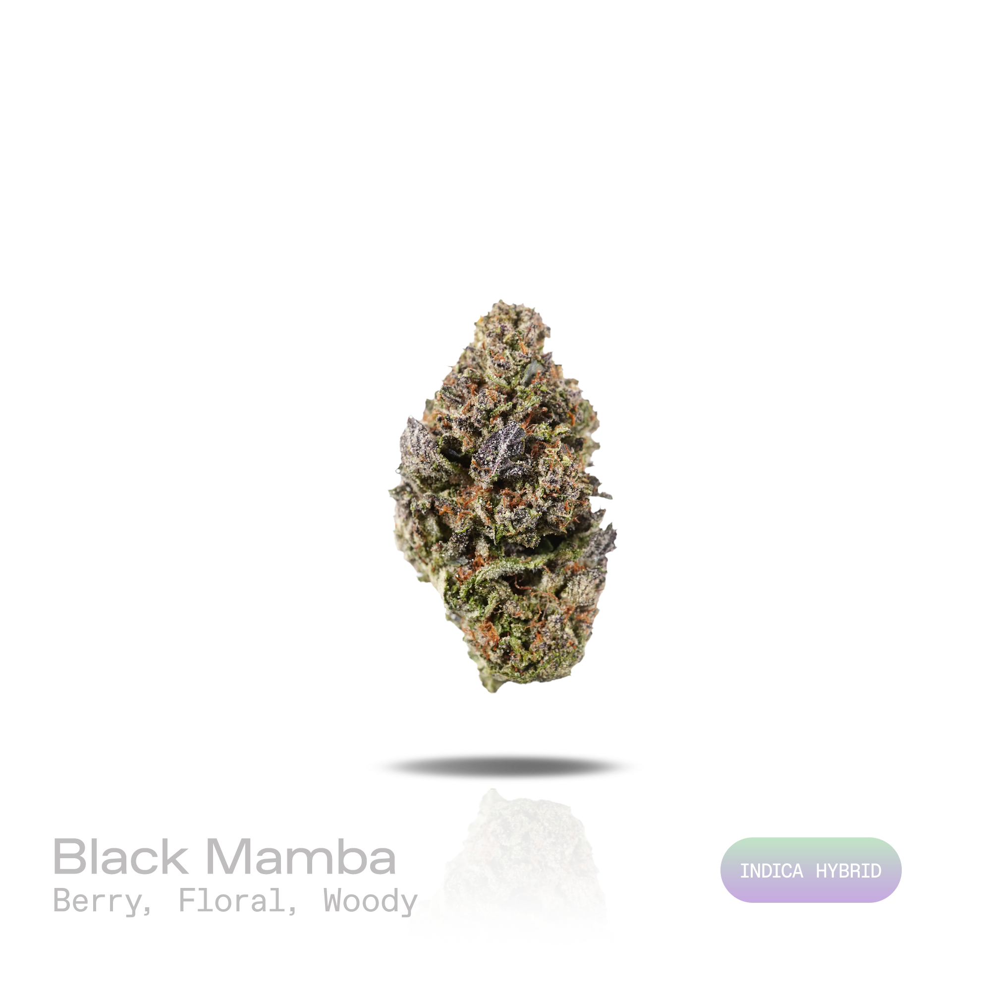 PUFFY Black Mamba is an indica-dominant hybrid THCa strain expertly bred from the powerful pairing of Granddaddy Purple and Black Domina. The aroma opens with sweet, juicy berries, blossoms into delicate floral notes, and finishes with rich, earthy wood undertones. Visually, dense forest green buds with purple hues and fiery orange pistils are coated in sticky trichomes. Consumers often report a euphoric, deeply relaxing experience that melts away tension while encouraging a healthy appetite. 