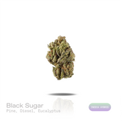 PUFFY Black Sugar is an indica-dominant hybrid THCa strain derived from the potent genetic collaboration of  Black Domina × LA OG Kush × Critical. The aroma opens with sharp pine and pungent diesel notes, finishing with a crisp, refreshing hint of eucalyptus. Visually, dense forest green buds with purple hues and fiery orange pistils are coated in sticky trichomes. Consumers often report a euphoric sense of well-being accompanied by deeply relaxing, calming effects that encourage a peaceful and laid-back ex