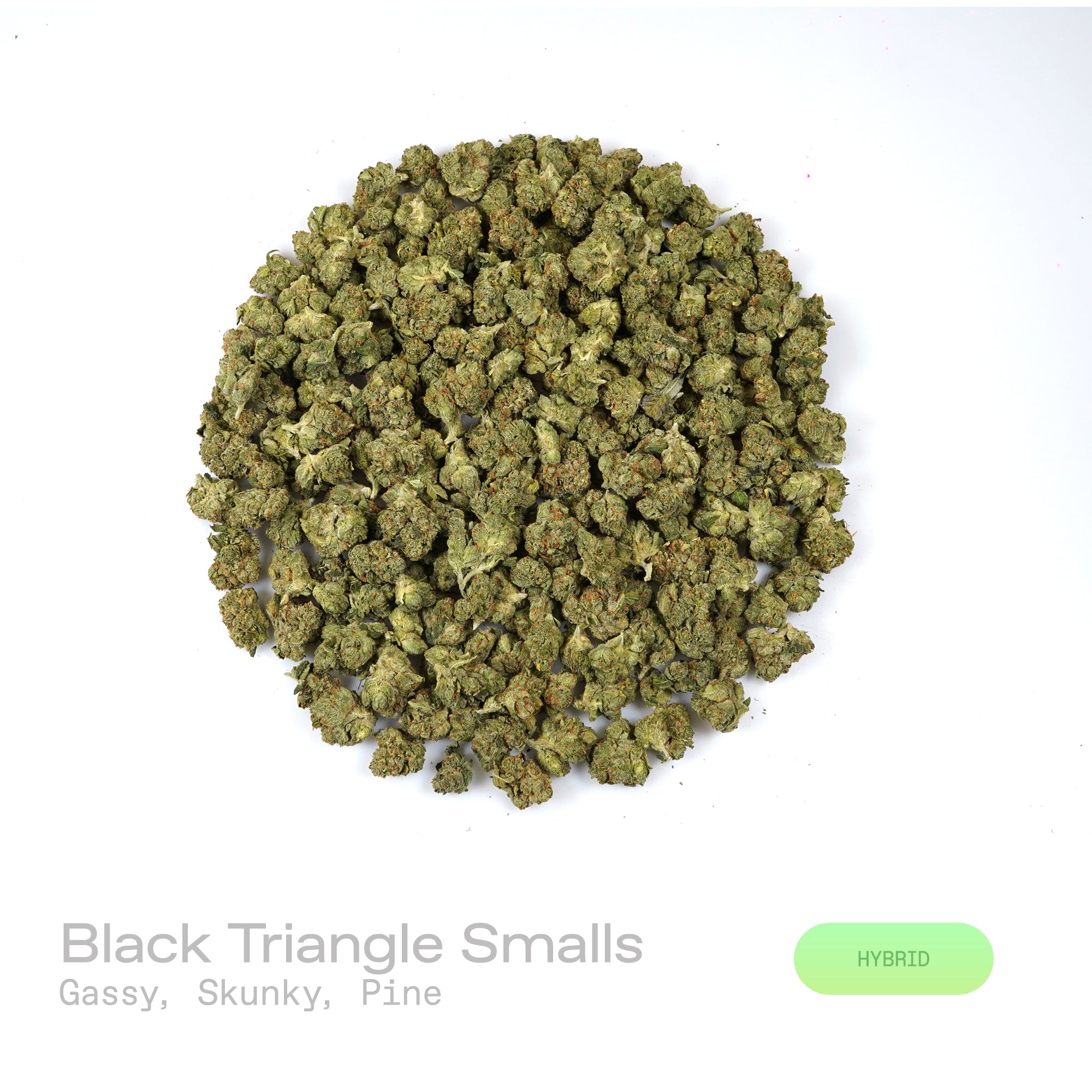 PUFFY Black Triangle (smalls) is an indica-dominant hybrid THCa strain emerging from the iconic fusion of Triangle Kush and ’88 G13 Hash Plant. The aroma bursts with gassy, skunky, and pine notes, creating a sharp, earthy fragrance. Visually, dense dark green buds with purple hues and fiery orange pistils are coated in sticky trichomes. Consumers often report feeling euphoric and relaxed, accompanied by a calm mood and a mild mental uplift that gently settles both mind and body.