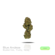 PUFFY Blue Andeze is a balanced hybrid THCa strain born from the legendary cross of Thin Mint Girl Scout Cookies and DJ Short Blueberry. The aroma is a delightful blend of juicy blueberries and vibrant fruity notes, rounded out with a sweet, sugary candy finish. Visually, dense deep green buds with purple hues and fiery orange pistils are coated in sticky trichomes. Consumers often report a euphoric and uplifting experience paired with soothing, deep relaxation that can help relieve stress and unwind. 