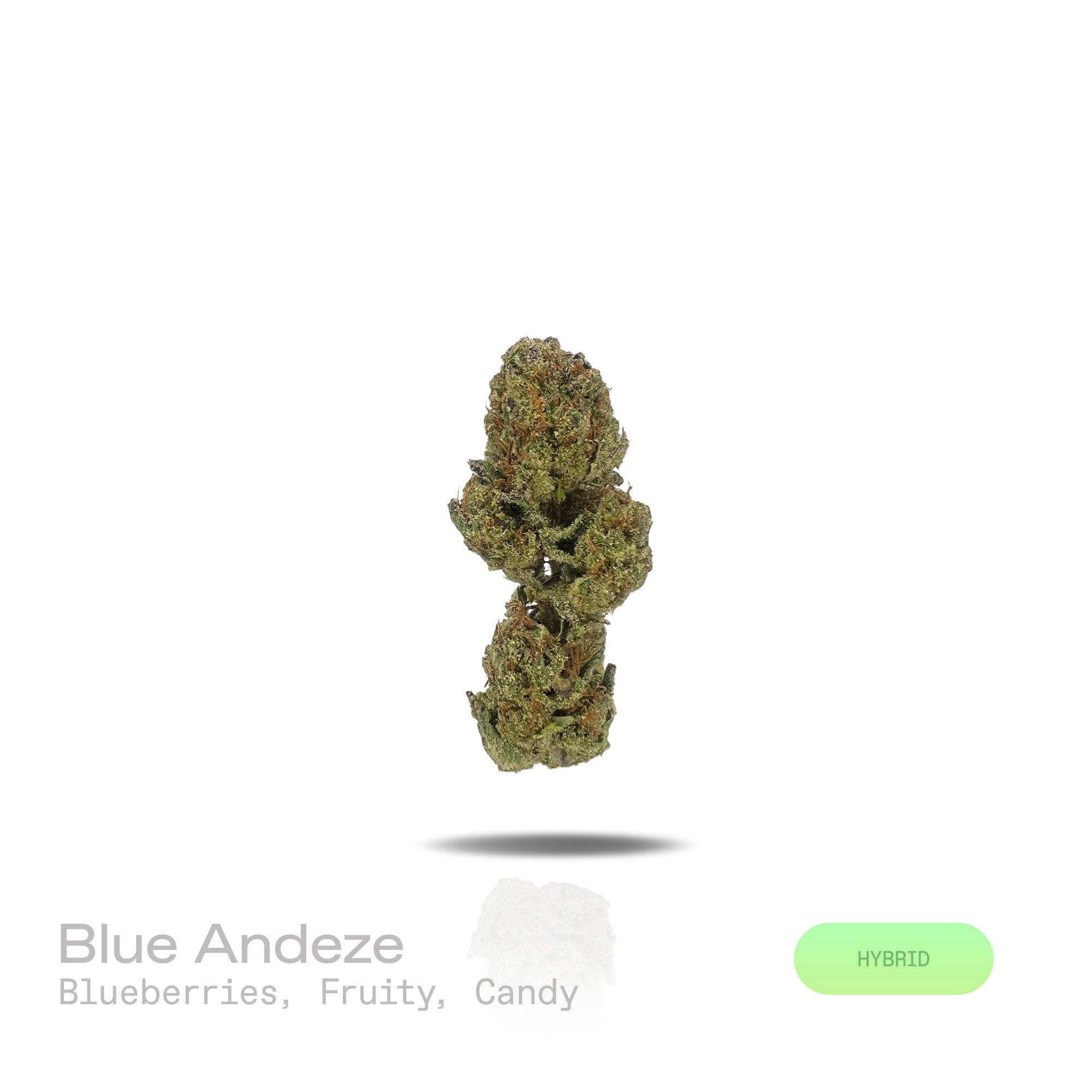 PUFFY Blue Andeze is a balanced hybrid THCa strain born from the legendary cross of Thin Mint Girl Scout Cookies and DJ Short Blueberry. The aroma is a delightful blend of juicy blueberries and vibrant fruity notes, rounded out with a sweet, sugary candy finish. Visually, dense deep green buds with purple hues and fiery orange pistils are coated in sticky trichomes. Consumers often report a euphoric and uplifting experience paired with soothing, deep relaxation that can help relieve stress and unwind. 
