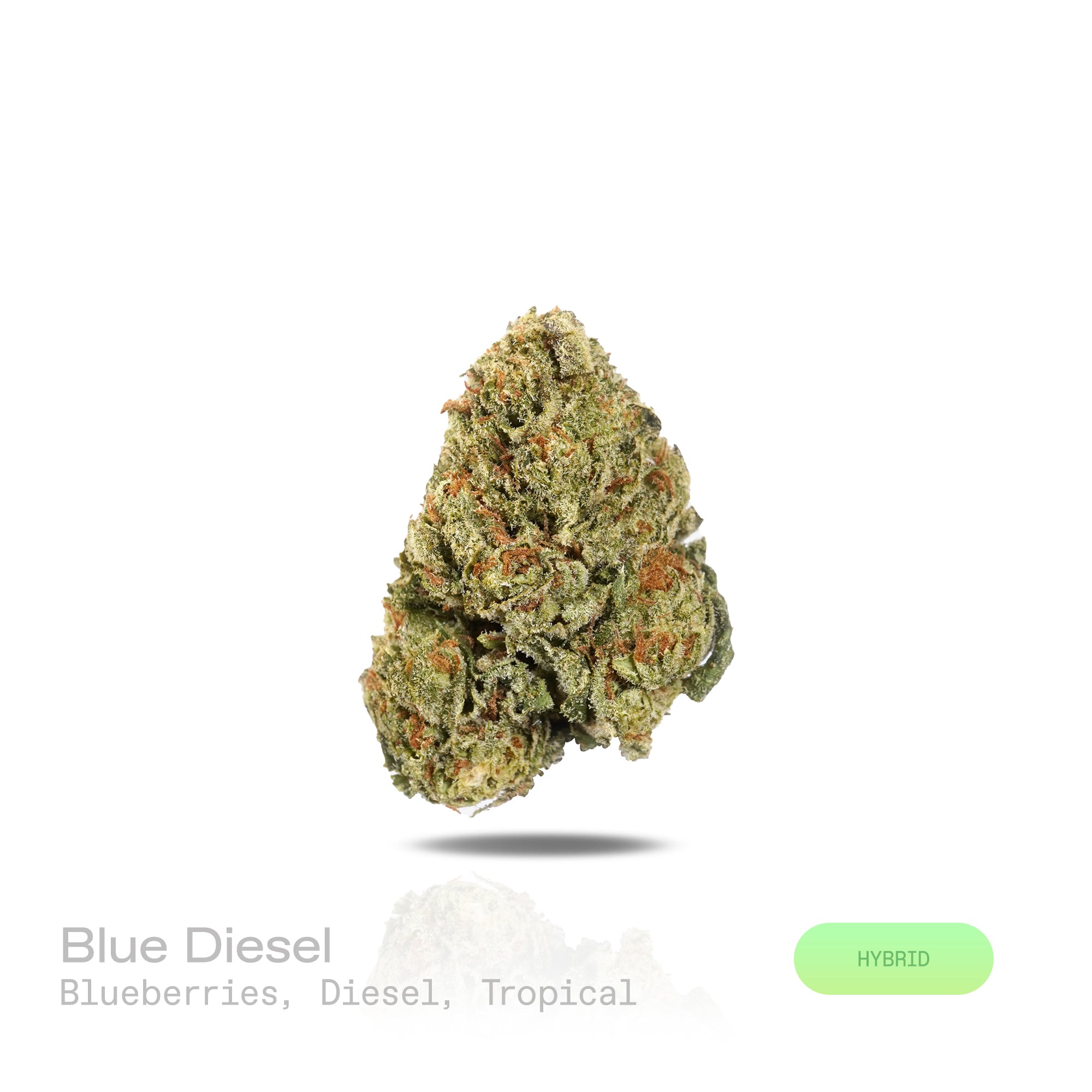 PUFFY Blue Diesel is a balanced hybrid THCa strain, born from the legendary cross between Blueberry and NYC Diesel. The aroma is a vibrant blend of sweet blueberries, sharp diesel, and luscious tropical notes, creating a rich and enticing sensory experience. Visually, dense deep forest green buds with purple hues and fiery orange pistils are coated in sticky trichomes. Consumers often report a blissfully euphoric and uplifting high, complemented by gentle body relaxation that enhances mood and encourages so