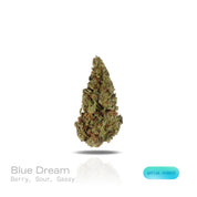 PUFFY Blue Dream is a sativa-dominant hybrid THCa strain born from the legendary cross between Blueberry and Haze. The aroma bursts with sweet berry notes, tangy sourness, and a distinctive gassy undertone for a bold, mouthwatering profile. Visually stunning, its dense, bright green buds are accented by deep blue hues, fiery orange pistils, and a generous dusting of icy trichomes making it as eye-catching as it is effective. Consumers often report a euphoric, uplifting head high that flows into a gentle, mo