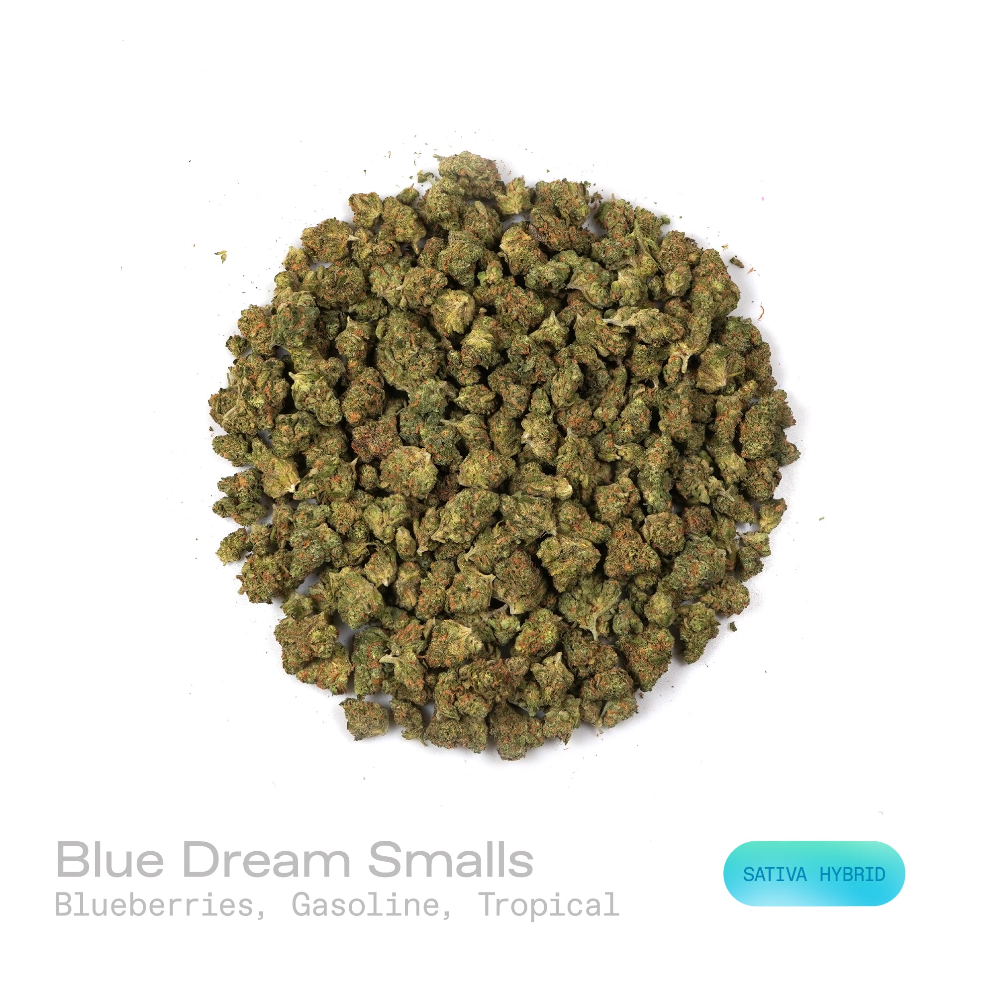 PUFFY Blue Dream (smalls) is a sativa-dominant hybrid THCa strain born from the legendary cross between Blueberry and Haze. The aroma is a captivating blend of sweet blueberries, sharp gasoline notes, and tropical undertones, creating an intriguing and memorable scent experience. Visually stunning, its dense, bright green buds are accented by deep blue hues, fiery orange pistils, and a generous dusting of icy trichomes making it as eye-catching as it is effective. Consumers often report a euphoric, upliftin