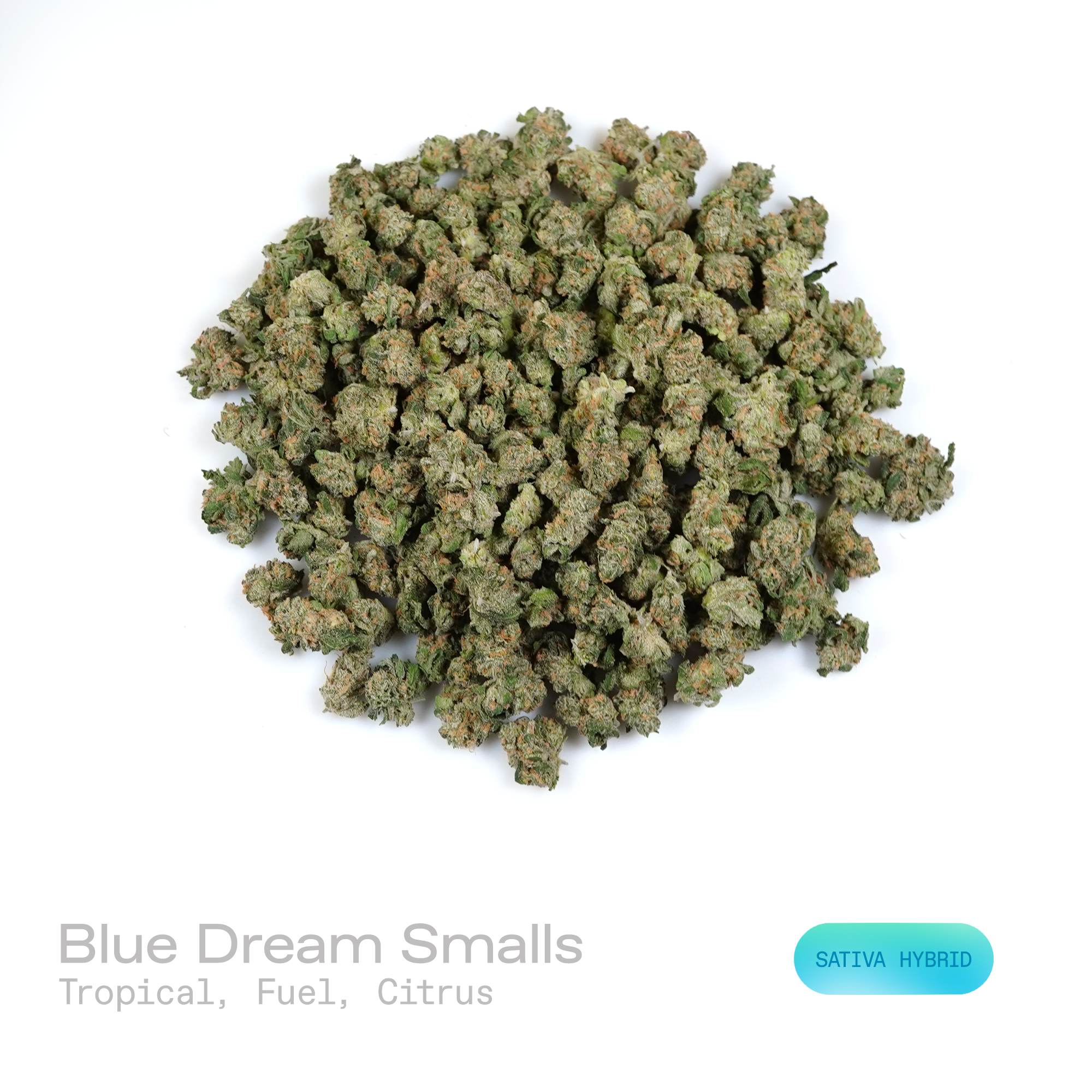 Blue Dream THCa Flower (Exotic) (Sativa Hybrid)