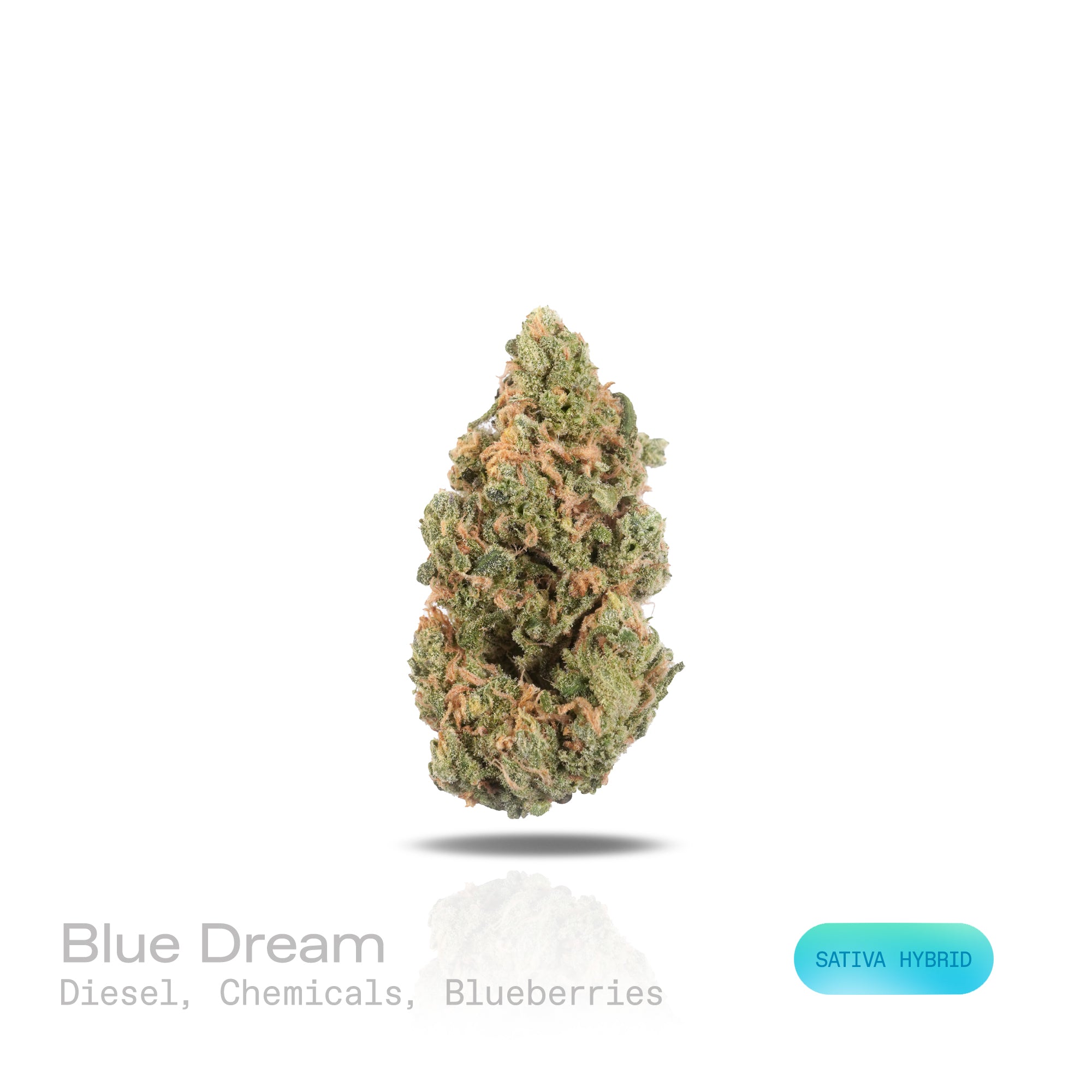 PUFFY Blue Dream is a sativa-dominant hybrid THCa strain born from the legendary cross between Blueberry and Haze. The aroma is a bold mix of Diesel, sharp chemicals, and sweet blueberries, leaving a distinct impression. Visually stunning, its dense, bright green buds are accented by deep blue hues, fiery orange pistils, and a generous dusting of icy trichomes making it as eye-catching as it is effective. Consumers often report a euphoric, uplifting head high that flows into a gentle, motivating body buzz, 