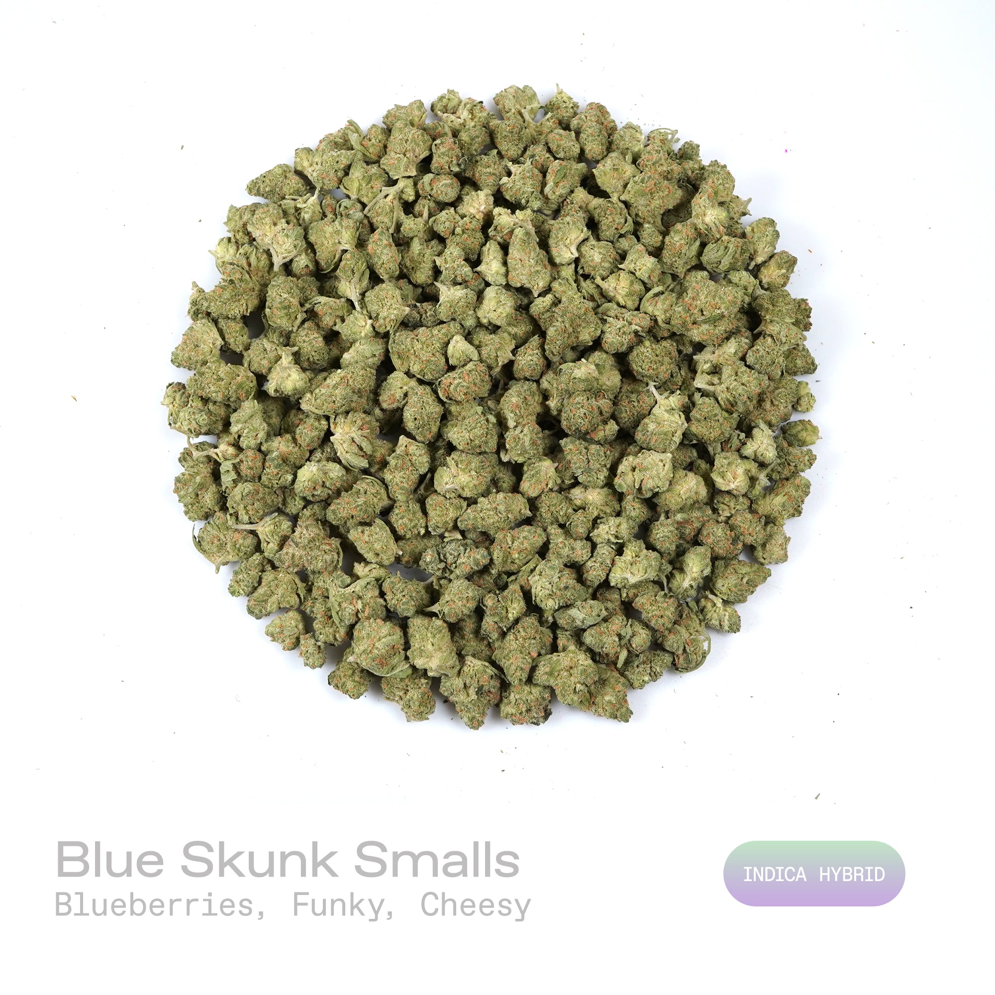 PUFFY Blue Skunk (smalls) is an indica-dominant hybrid THCa strain, born from the exotic blend of Blueberry and Skunk. The aroma is a bold blend of sweet blueberries layered with funky, earthy undertones and a distinct cheesy richness that adds depth and complexity. Visually, buds are dense and frosty, featuring deep green and purple hues with bright orange pistils and a thick coating of sparkling trichomes. Consumers often report a relaxing and euphoric experience accompanied by bursts of laughter, along w