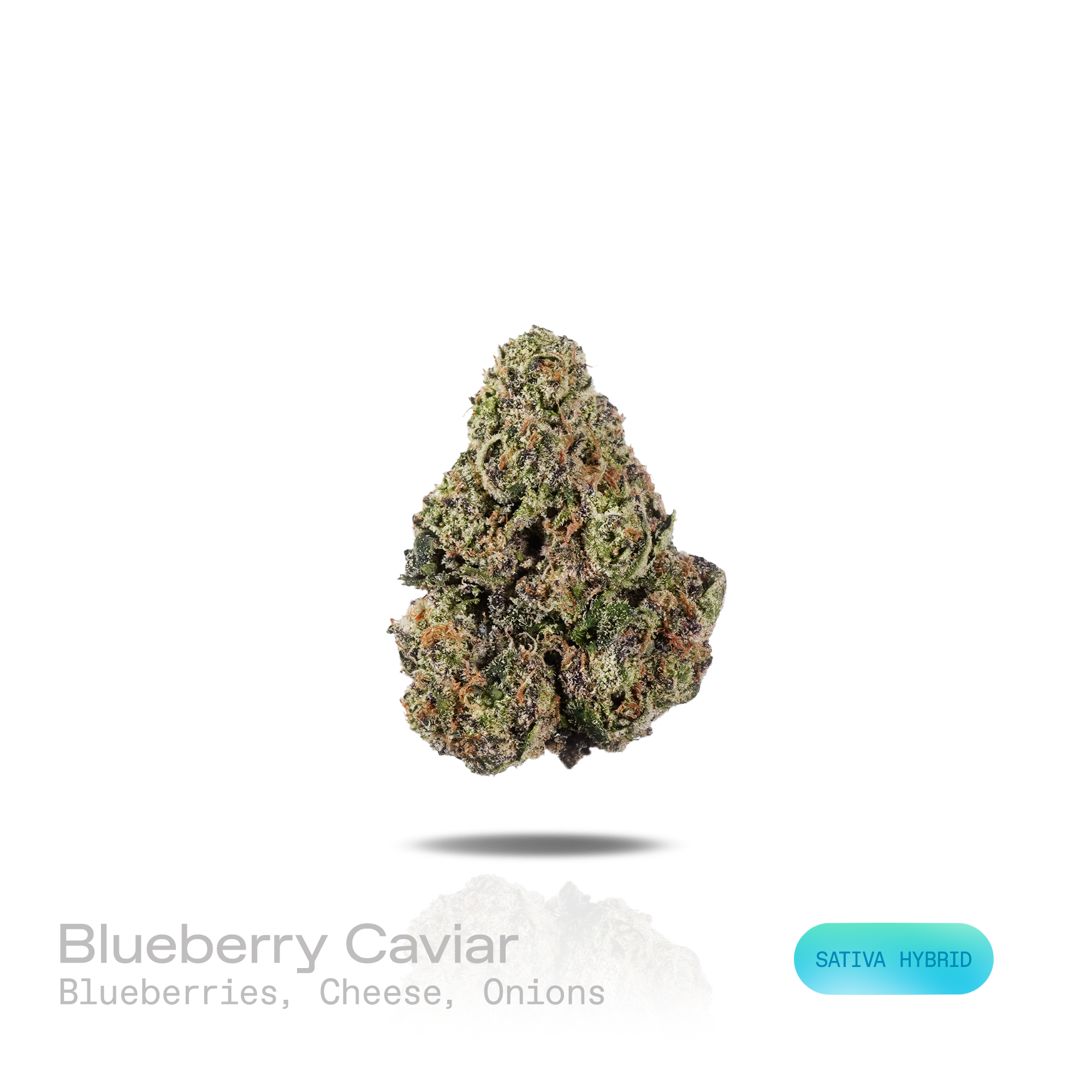 PUFFY Blueberry Caviar is a sativa-dominant hybrid THCa strain, meticulously developed through the cross of Grape Gas and Lantz. The aroma blends sweet, ripe blueberries with creamy, tangy cheese notes and a sharp, savory onion funk for a rich, complex profile. Visually, dense forest green buds with purple hues and fiery orange pistils are coated in sticky trichomes. Consumers often report an uplifting euphoric effect with a strong cerebral mood boost, enhanced creativity and focus, and mild body relaxation