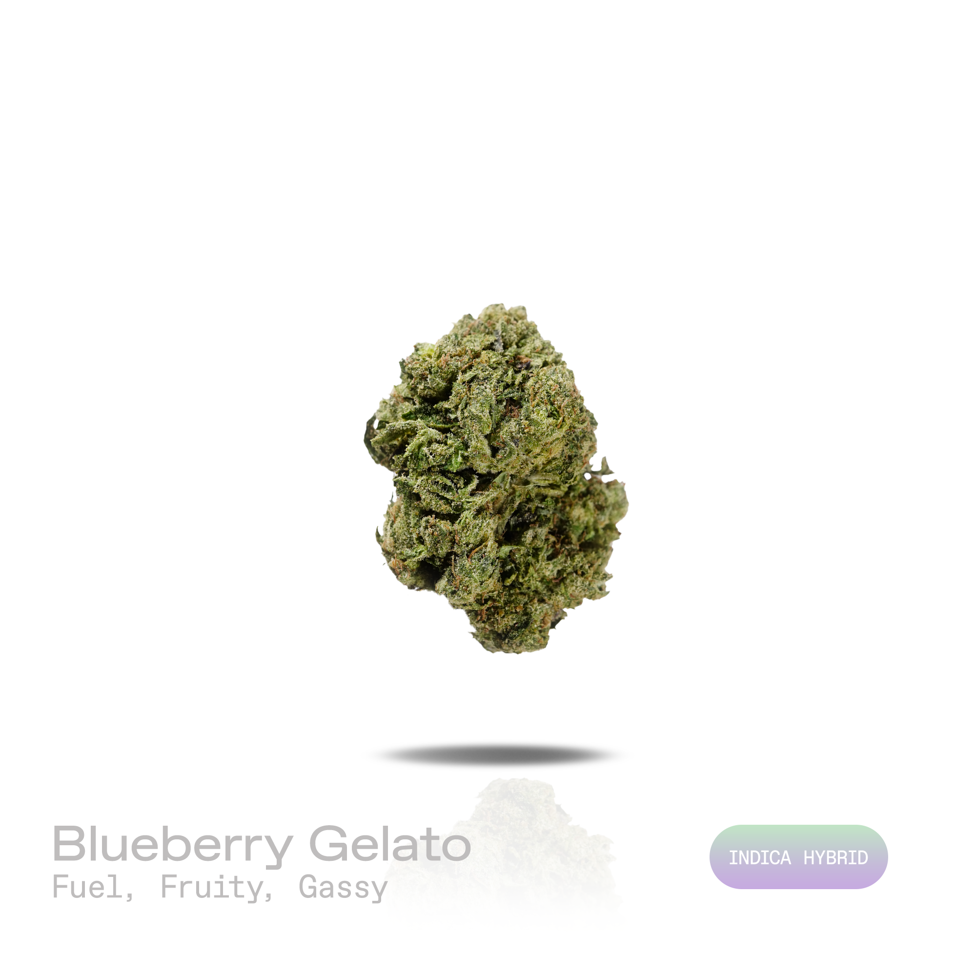PUFFY Blueberry Gelato is an indica THCa strain crafted through the masterful blend of Thin Mint Girl Scout Cookies and Blueberry. The aroma presents a bold fusion of pungent fuel, ripe fruity sweetness, and rich gassy undertones. Visually, dense deep forest green buds with purple hues and fiery orange pistils are coated in sticky trichomes. Consumers often report experiencing a euphoric, deeply relaxed sensation that helps promote a calm, uplifting mood while encouraging overall physical and mental ease. 