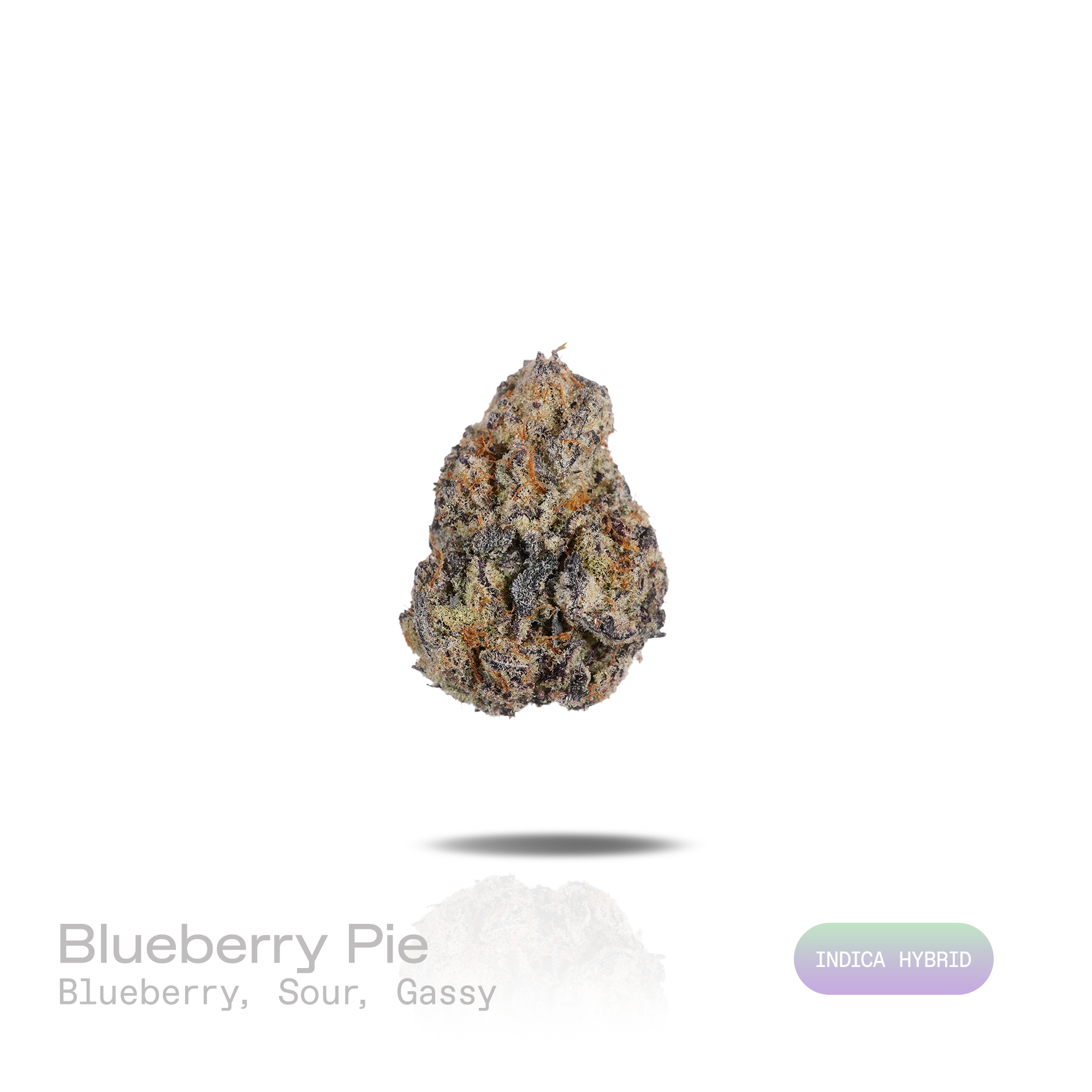PUFFY Blueberry Pie is an indica-dominant hybrid THCa strain originating from the iconic cross of Blue Dream and Girl Scout Cookies. The aroma is a blend of sweet blueberry and tangy sour notes, finishing with a distinct gassy undertone. Visually, dense forest green buds with purple hues and fiery orange pistils are coated in sticky trichomes. Consumers often report an initial euphoric, uplifting head high that gradually settles into a deeply relaxed body high that may help ease stress, anxiety, and insomni