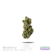 PUFFY Blueberry is an indica-dominant hybrid THCa strain descended from an iconic lineage of Purple Thai and Thai. The aroma is a rich blend of sweet blueberry, bold fuel, and pungent gassy notes. Visually, dense deep forest green buds with purple hues and fiery orange pistils are coated in sticky trichomes. Consumers often report feeling euphoric and focused while remaining calm, relaxed, and gently soothed. 