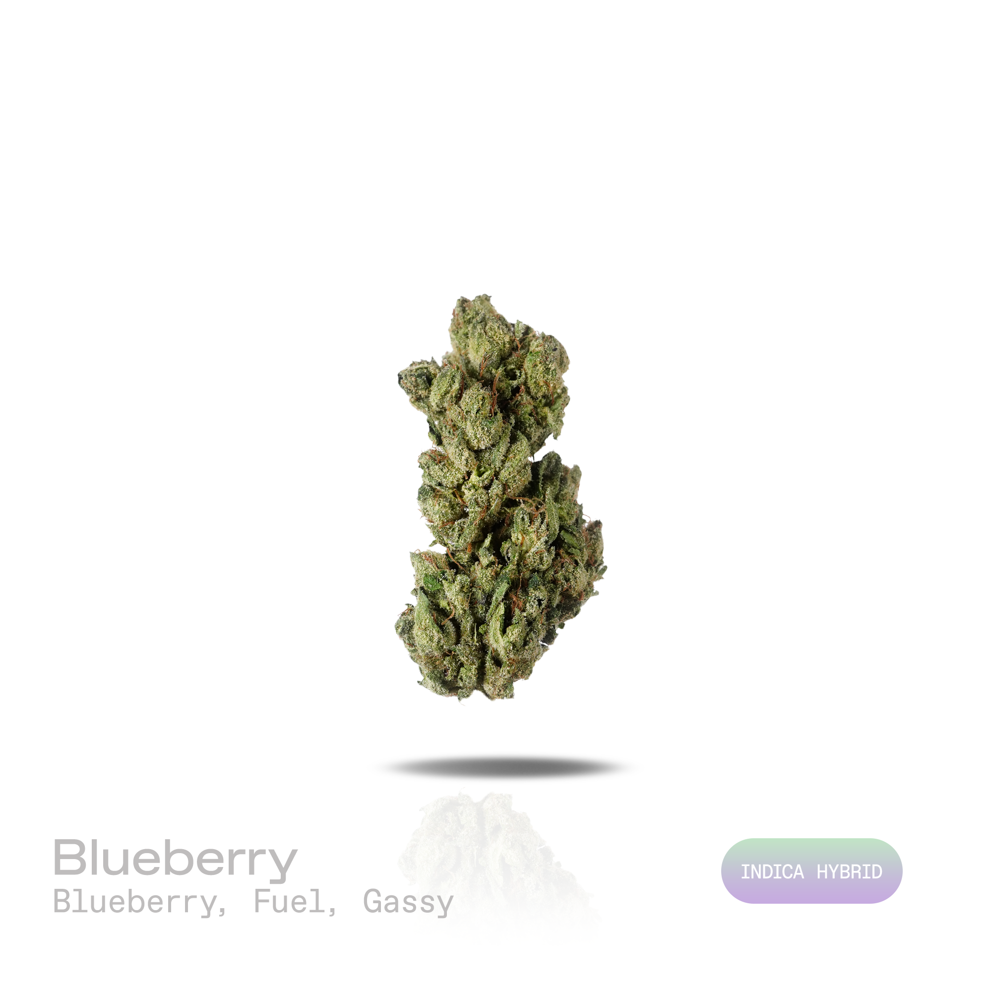 PUFFY Blueberry is an indica-dominant hybrid THCa strain descended from an iconic lineage of Purple Thai and Thai. The aroma is a rich blend of sweet blueberry, bold fuel, and pungent gassy notes. Visually, dense deep forest green buds with purple hues and fiery orange pistils are coated in sticky trichomes. Consumers often report feeling euphoric and focused while remaining calm, relaxed, and gently soothed. 