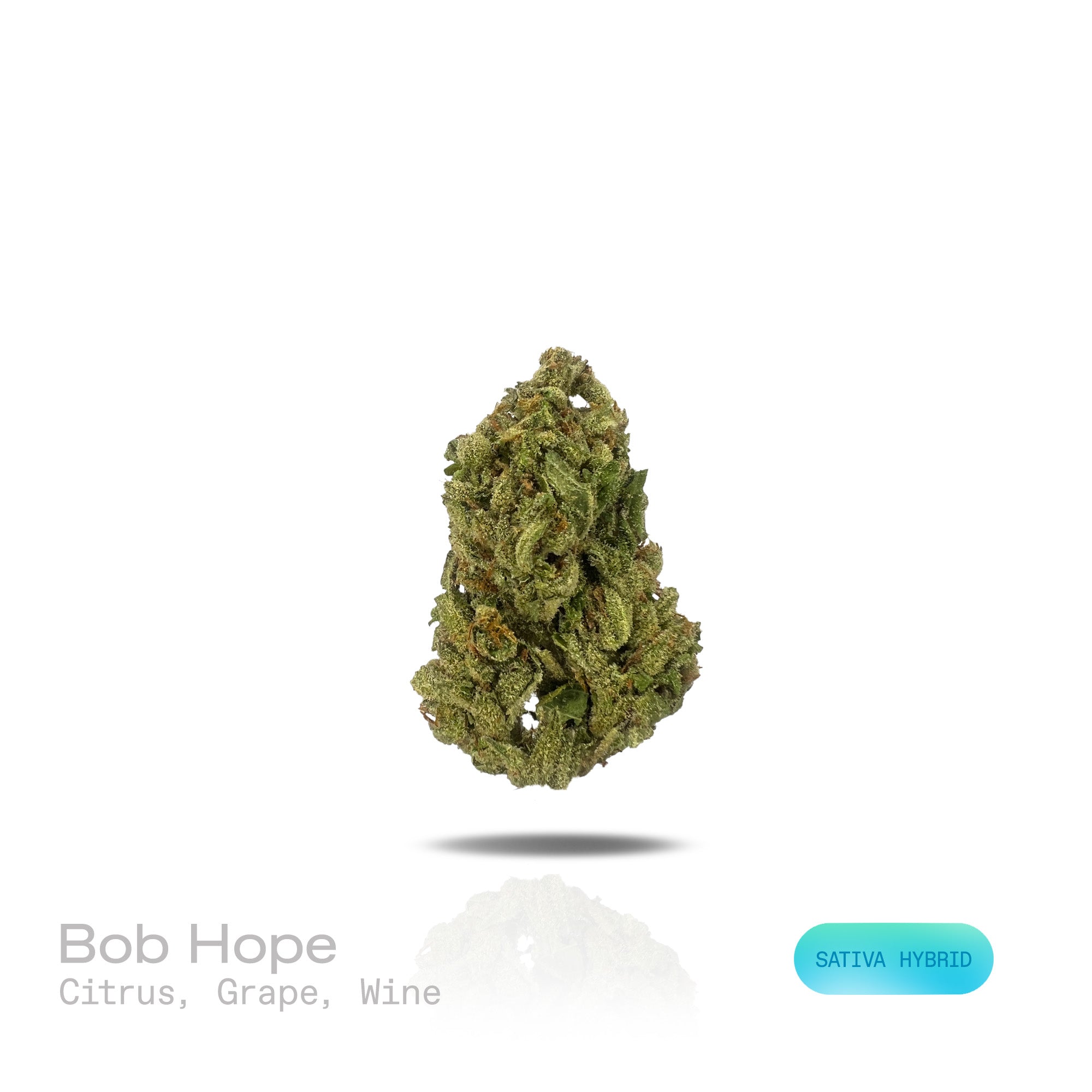 PUFFY Bob Hope is a sativa-dominant hybrid THCa strain developed from the flavorful convergence of  Super Lemon Haze and Durban Biscotti. The aroma features bright citrus and juicy grape notes, finishing with a smooth, sweet wine essence. Visually, dense forest green buds with purple hues and fiery orange pistils are coated in sticky trichomes. Consumers often report an uplifting wave of euphoria that inspires creativity, sharpens focus, boosts energy, and leaves them feeling refreshed and engaged.  