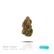 PUFFY Bob Hope is an sativa-dominant hybrid THCa strain developed from the flavorful convergence of  Super Lemon Haze and Durban Biscotti. The aroma opens with sweet, juicy grapes, followed by a sharp hint of ammonia and finished with a bright burst of zesty citrus. Visually, dense forest green buds with purple hues and fiery orange pistils are coated in sticky trichomes. Consumers often report an uplifting wave of euphoria that inspires creativity, sharpens focus, boosts energy, and leaves them feeling ref